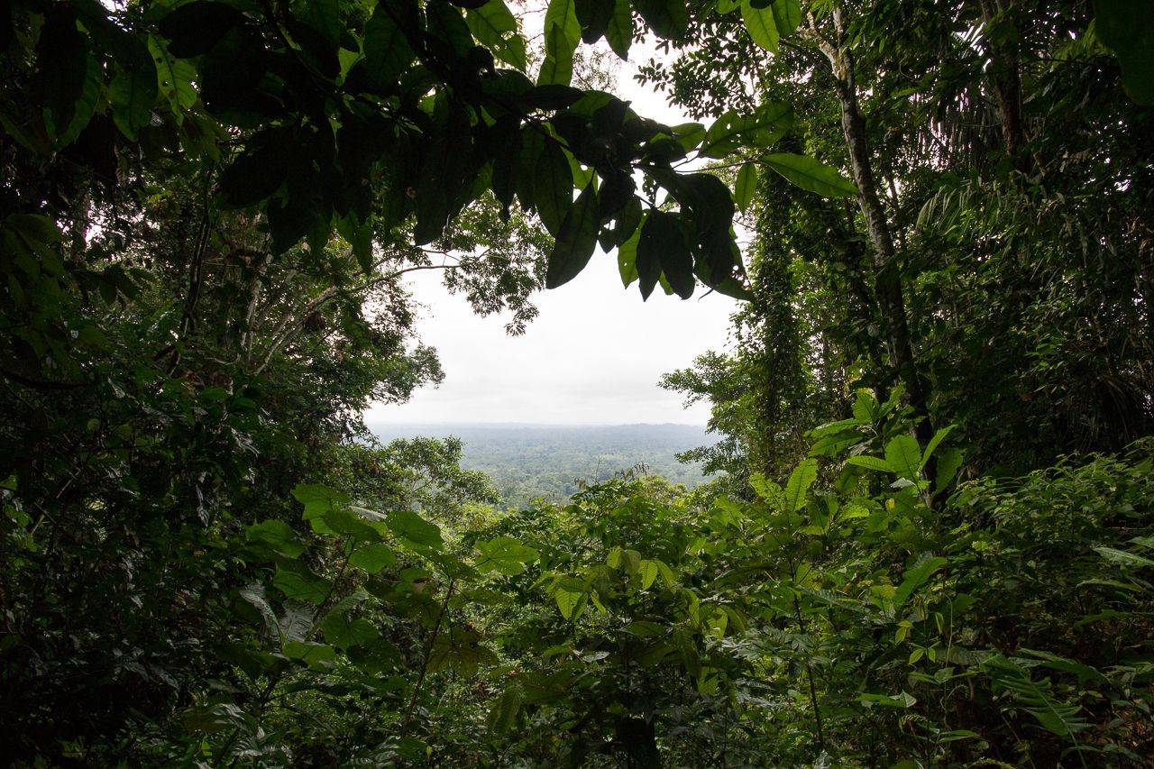 Amazon Tupana Lodge, nel cuore della foresta