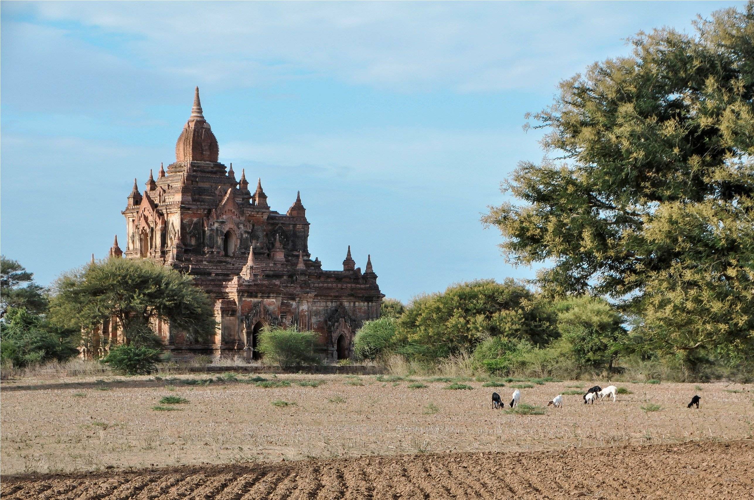 Vuelo a Bagan y visita