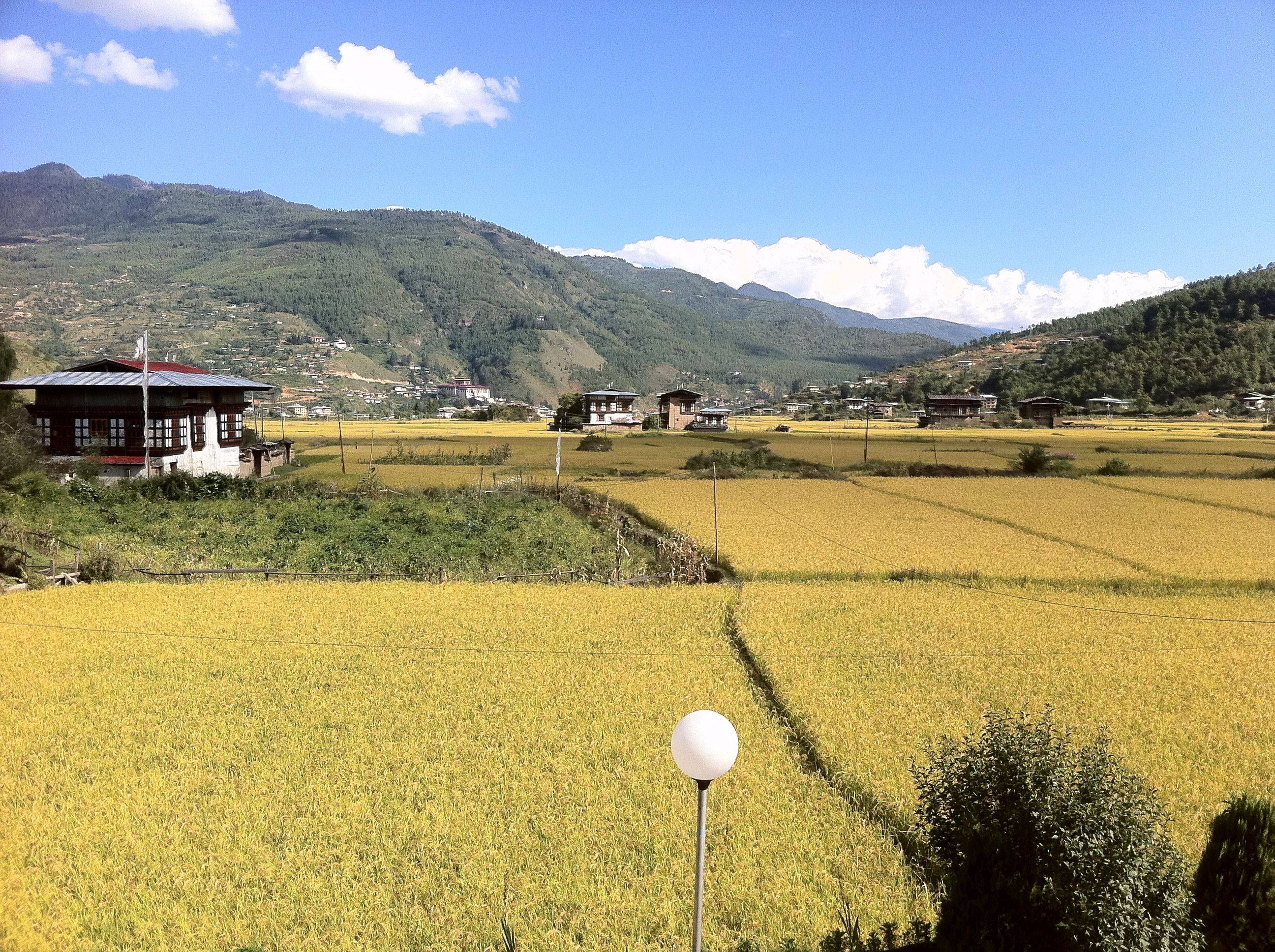 Een indrukwekkende klim en afdaling naar Paro Dzong