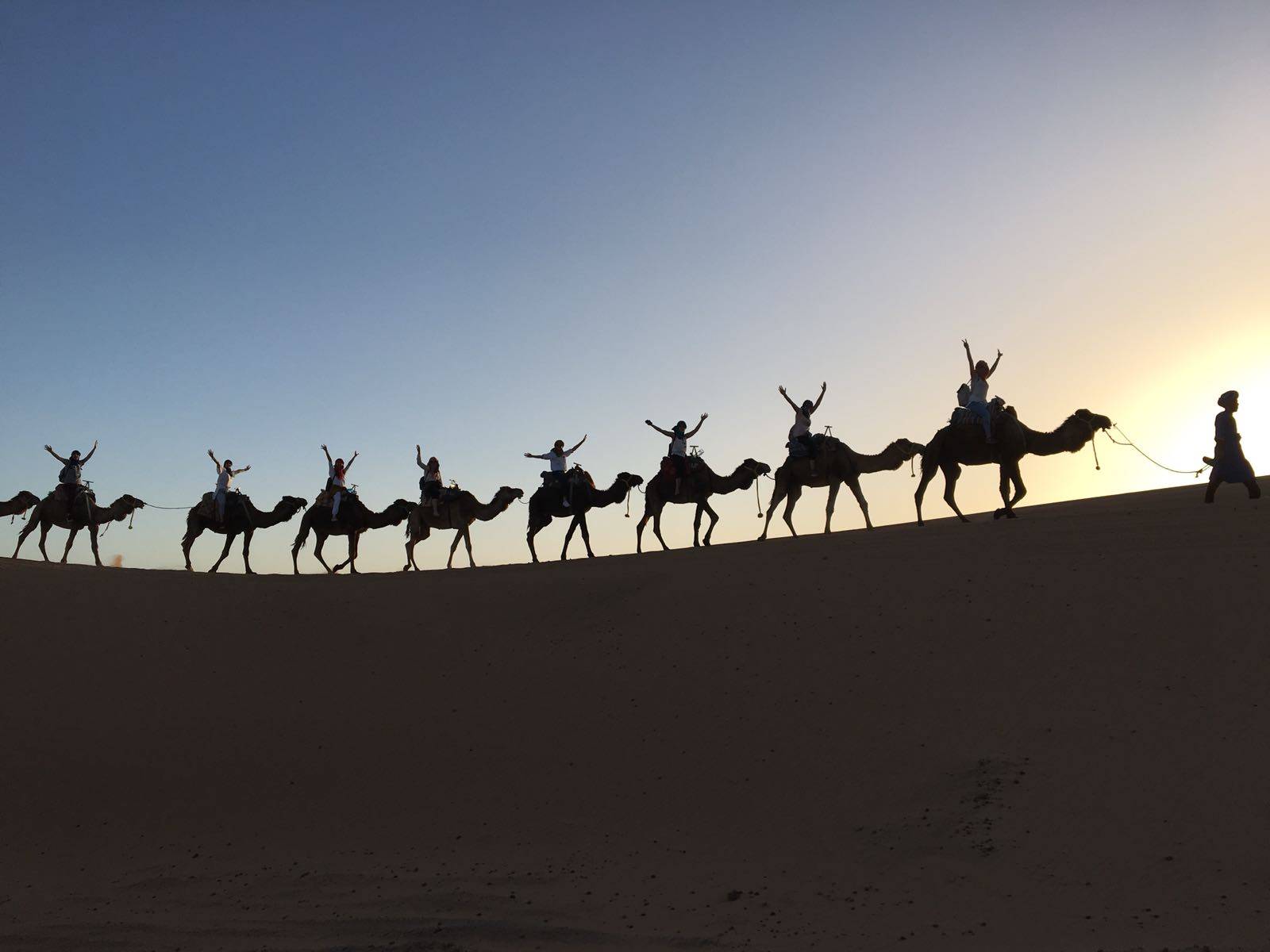Amanecer a camello en el desierto