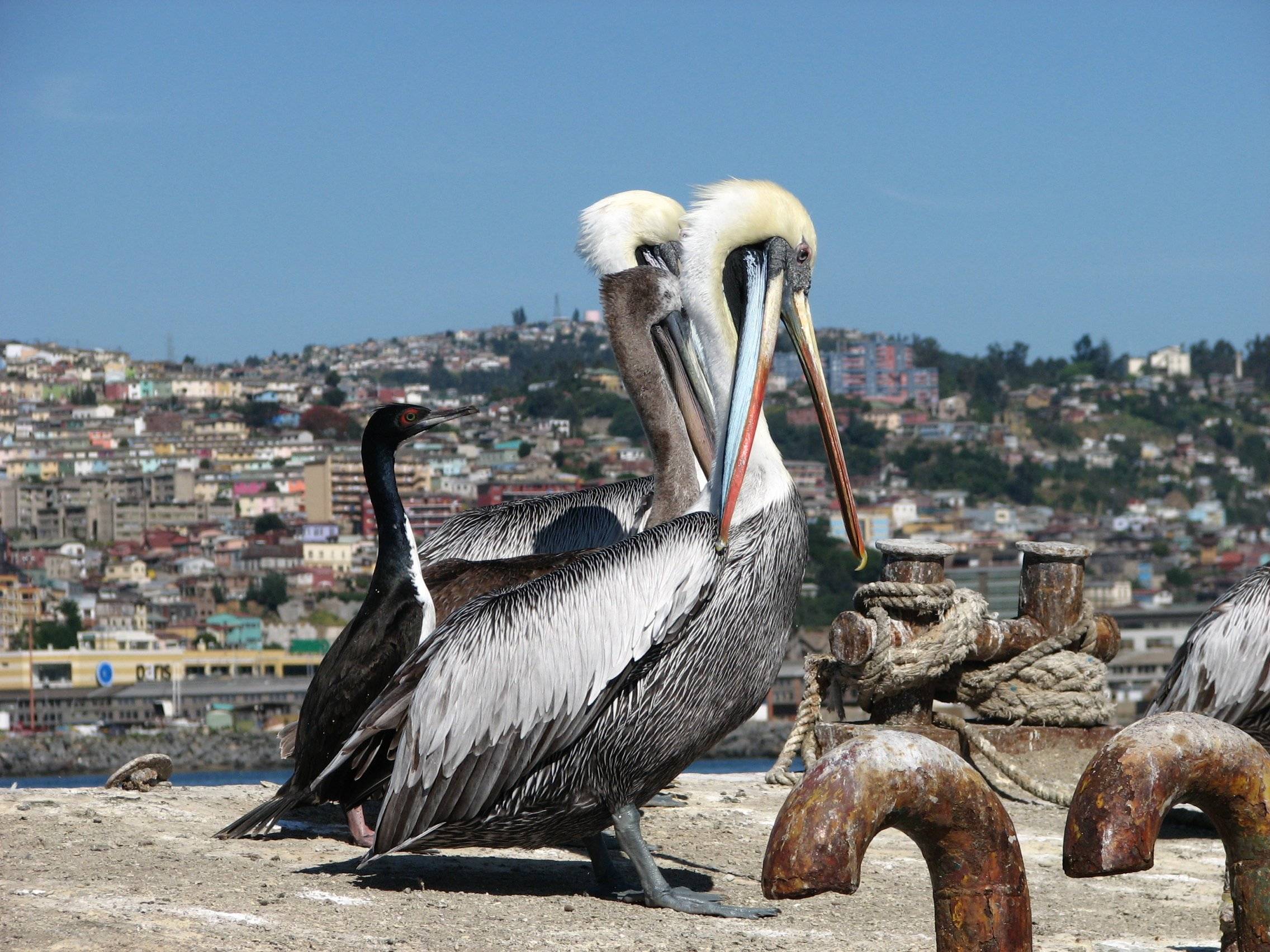 In die Hafenstadt Valparaíso