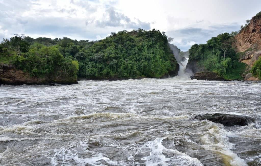 Parque Nacional de Murchison Falls - Budongo - Parque Nacional de Murchison Falls