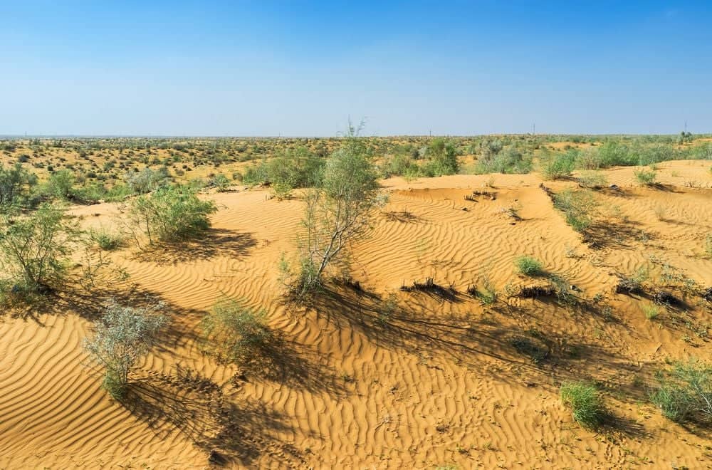 In die Wüste des roten Sandes