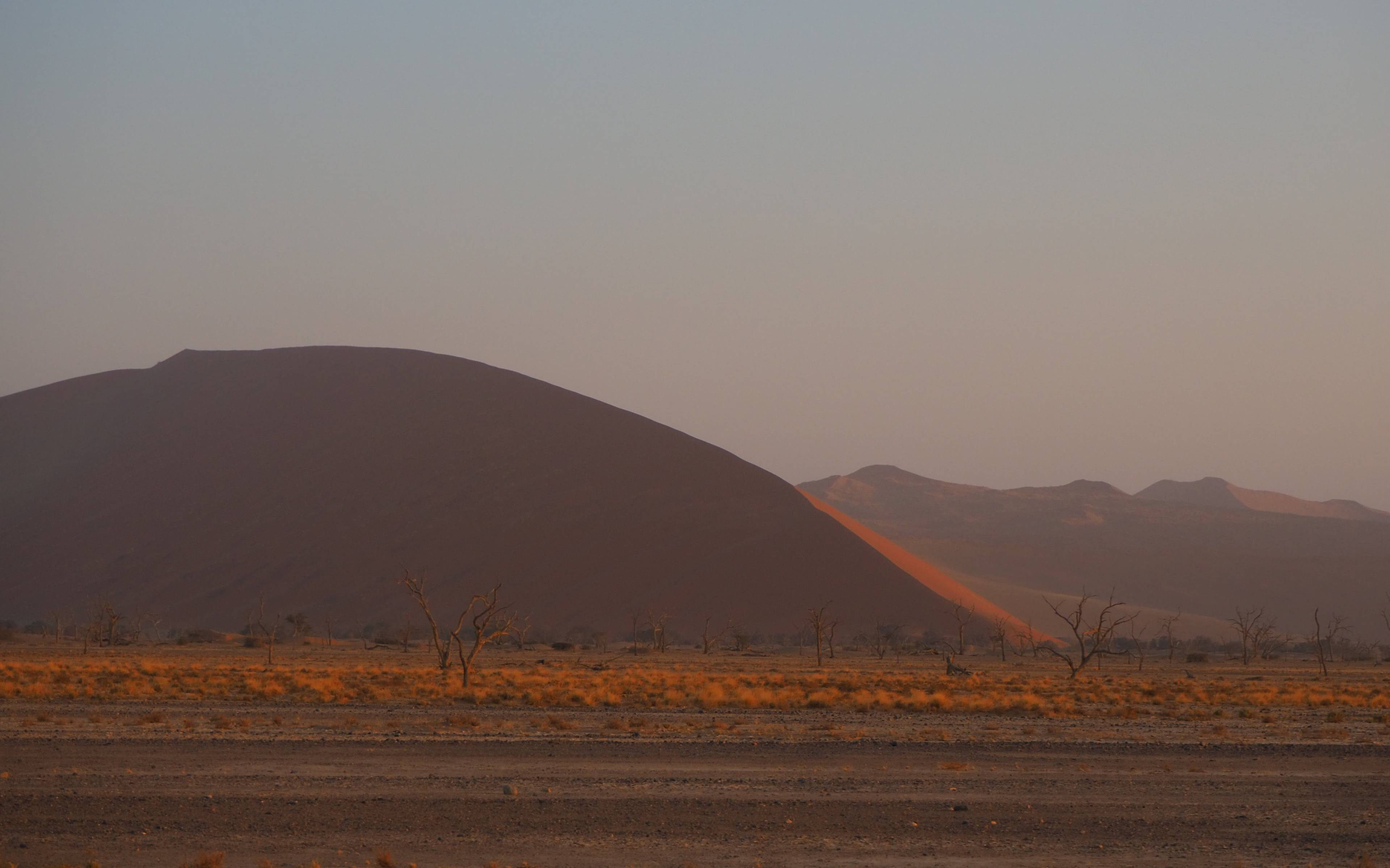Il famoso deserto del Namib