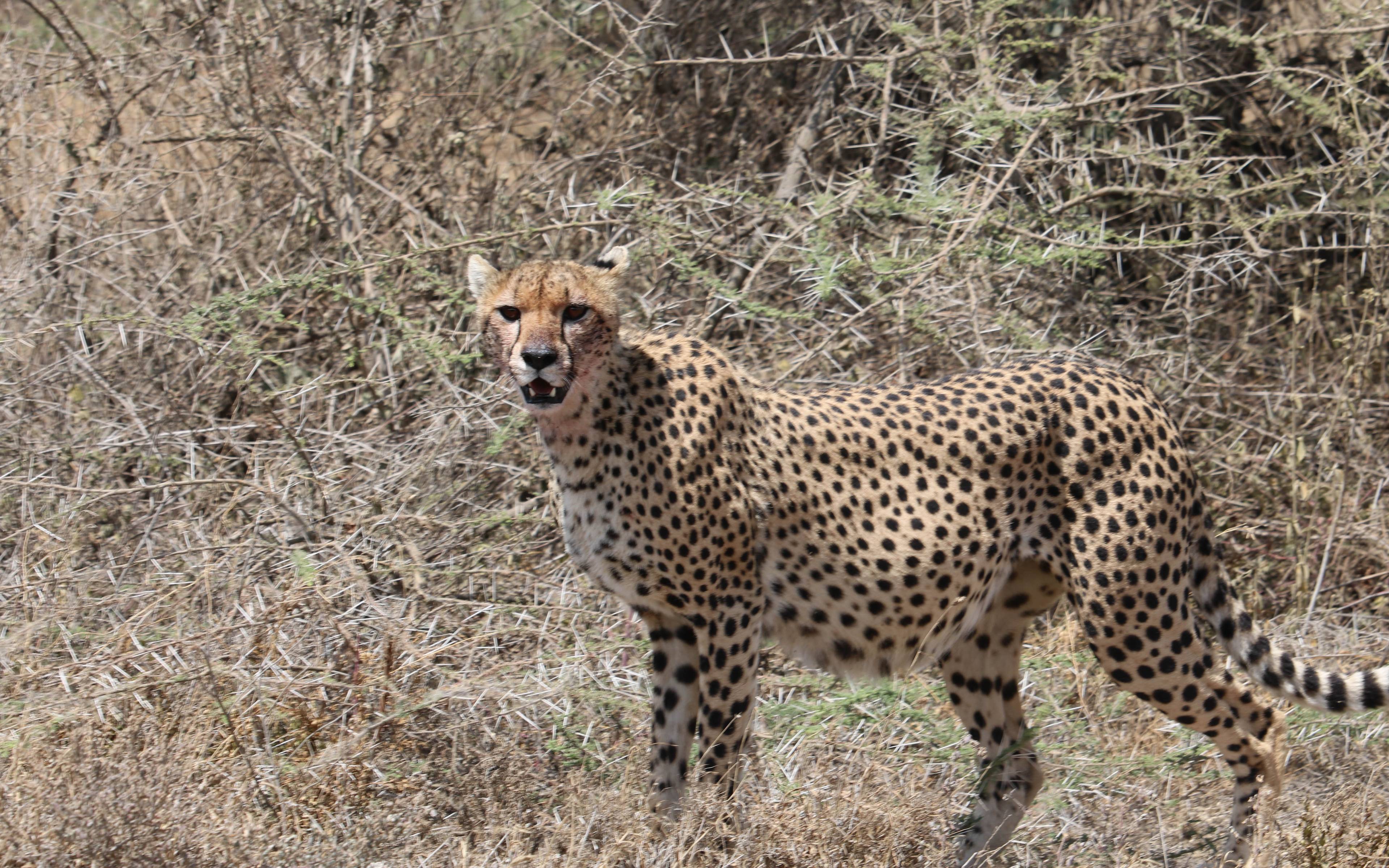 Direction le Serengeti National Park