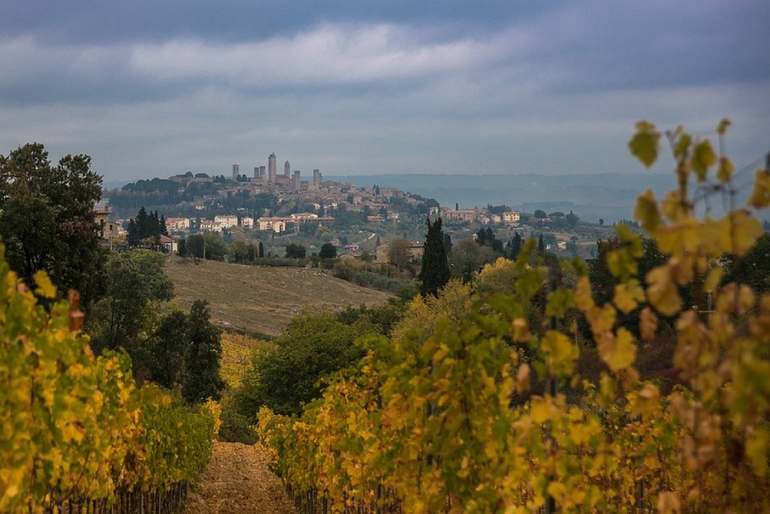 Valle de Orcia y cata de vinos en Montepulciano
