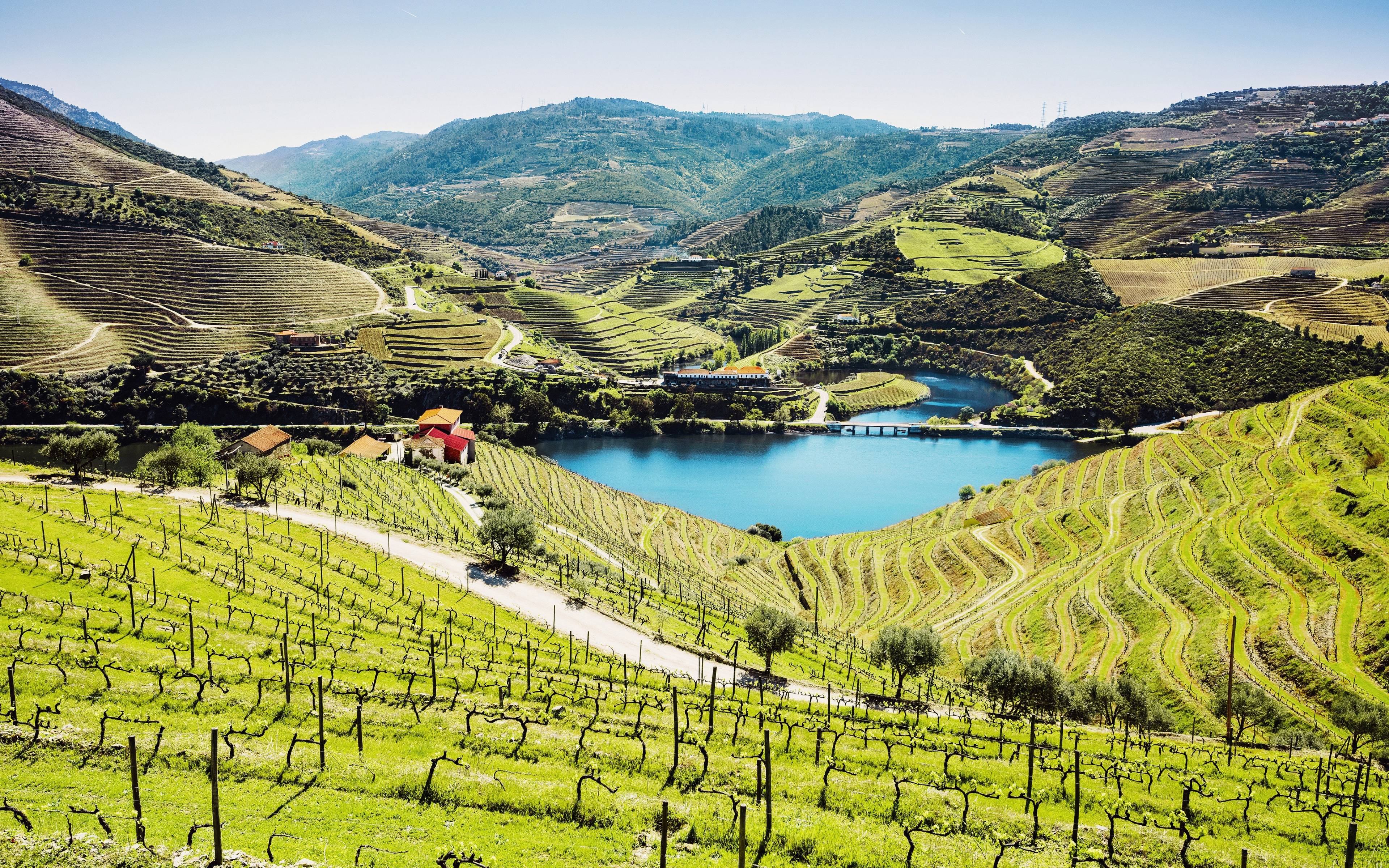 Région viticole du Haut-Douro