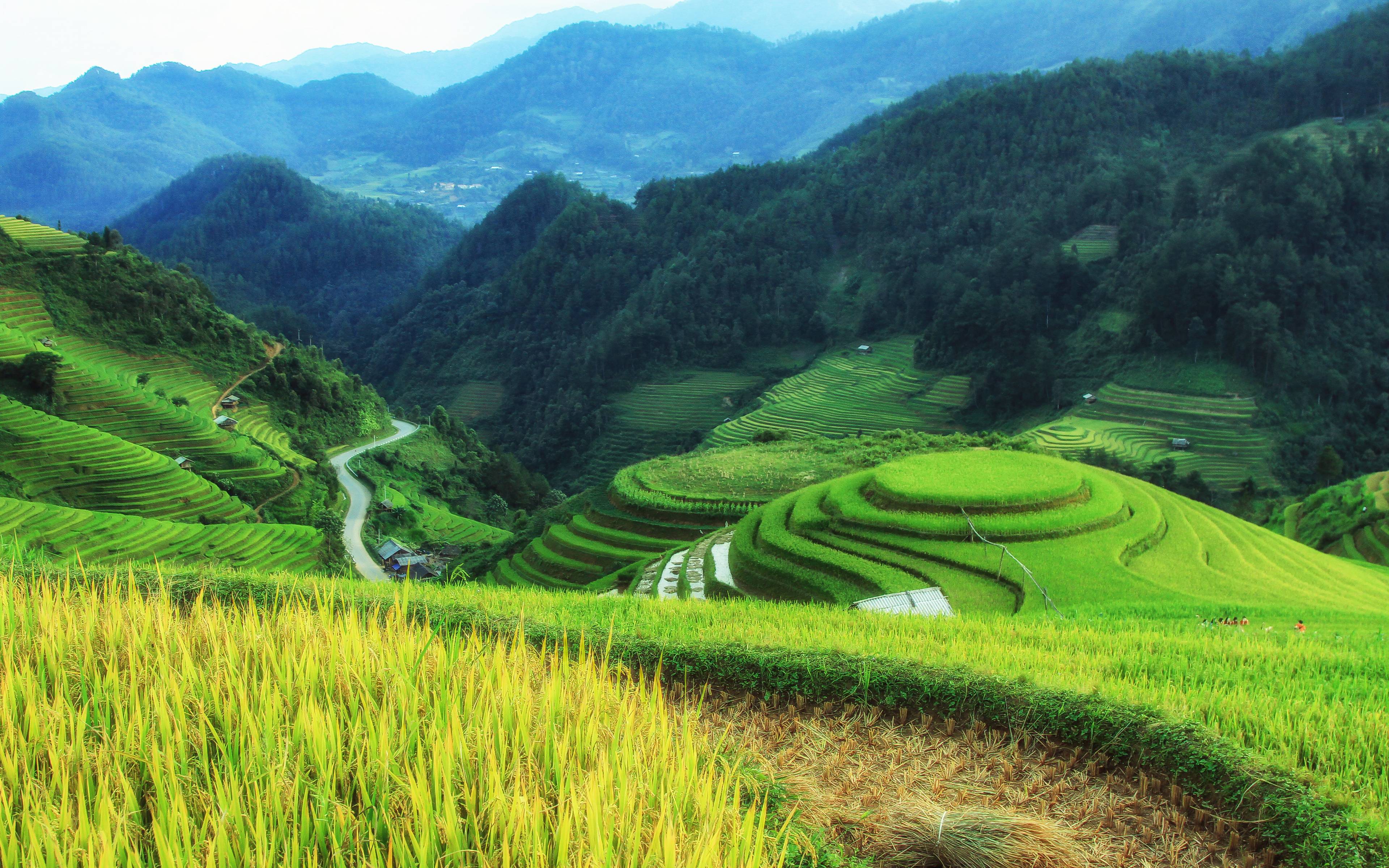 Les rizières en terrasse fabuleuses à Mu Cang Chai