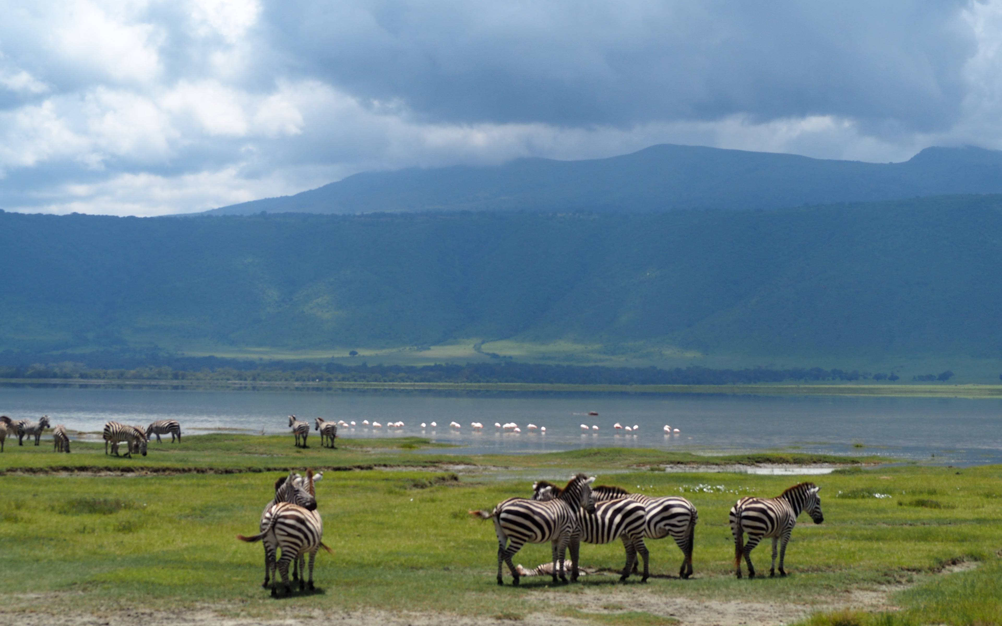 Safari en el cráter de Ngorongoro 