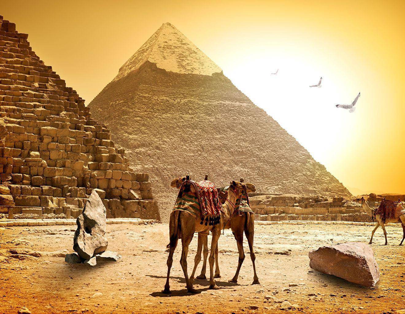 Découverte des Pyramides et des merveilles du monde égyptiennes