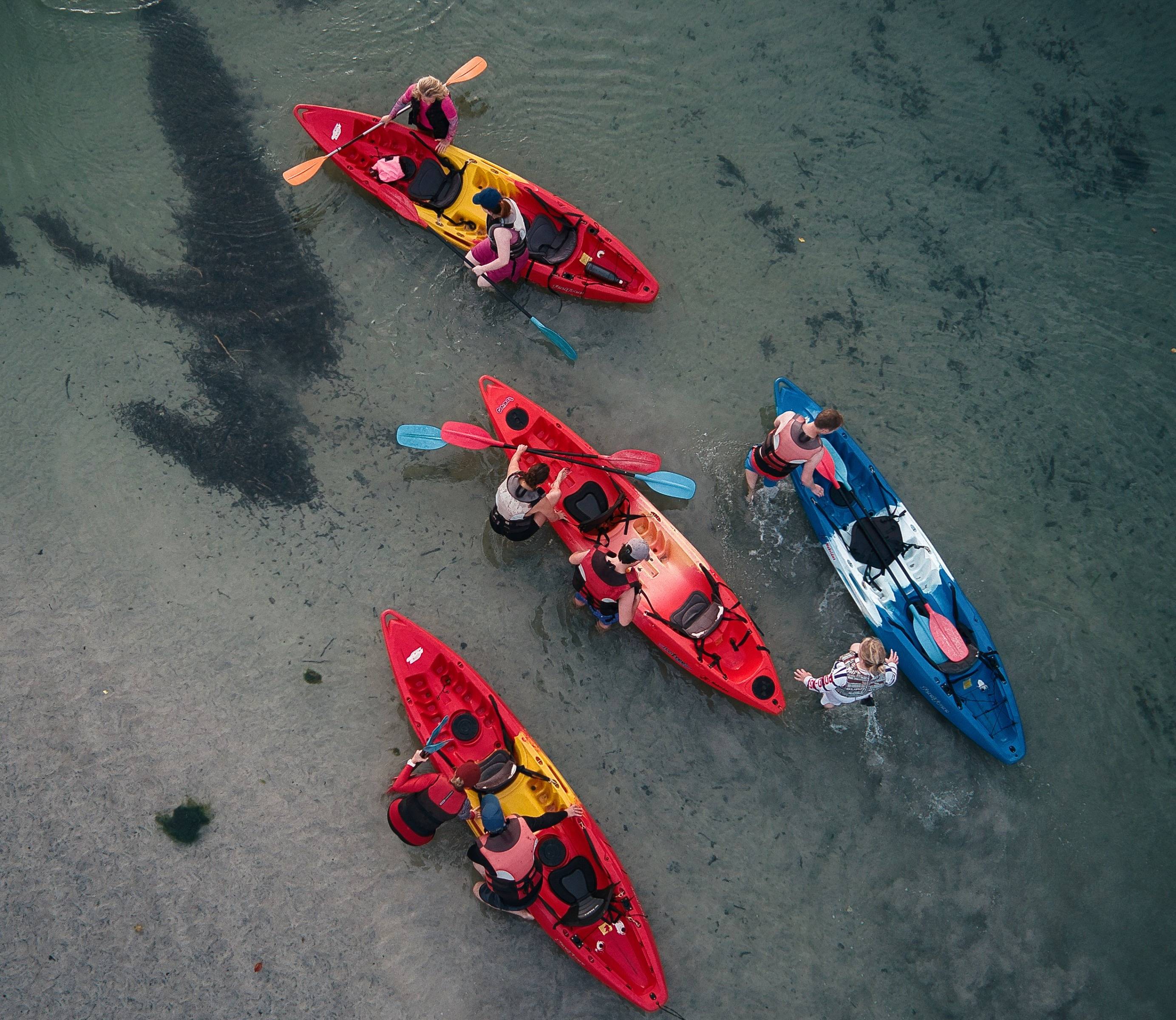 Kayak à la rencontre des dauphins