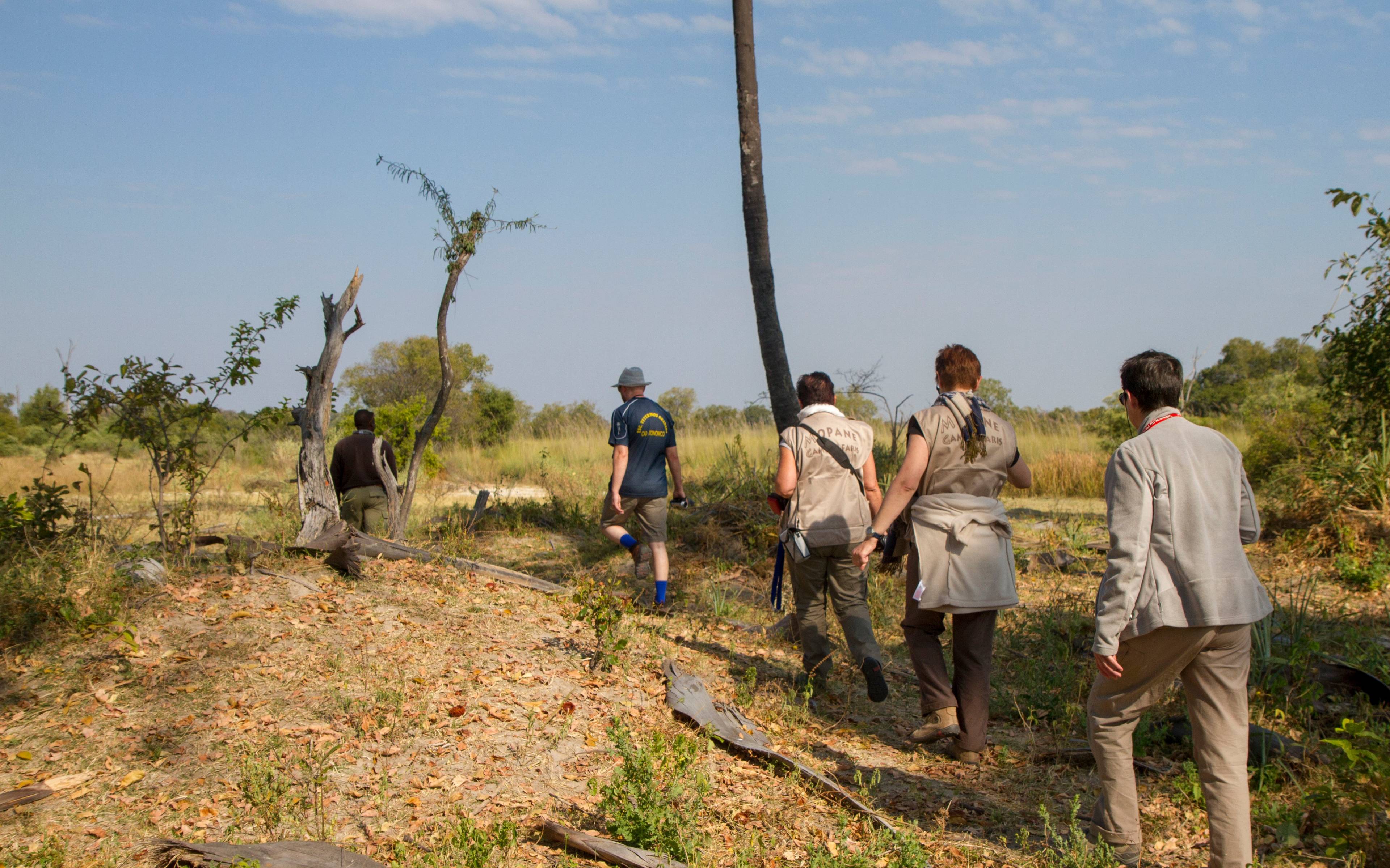 Explorando el delta del Okavango
