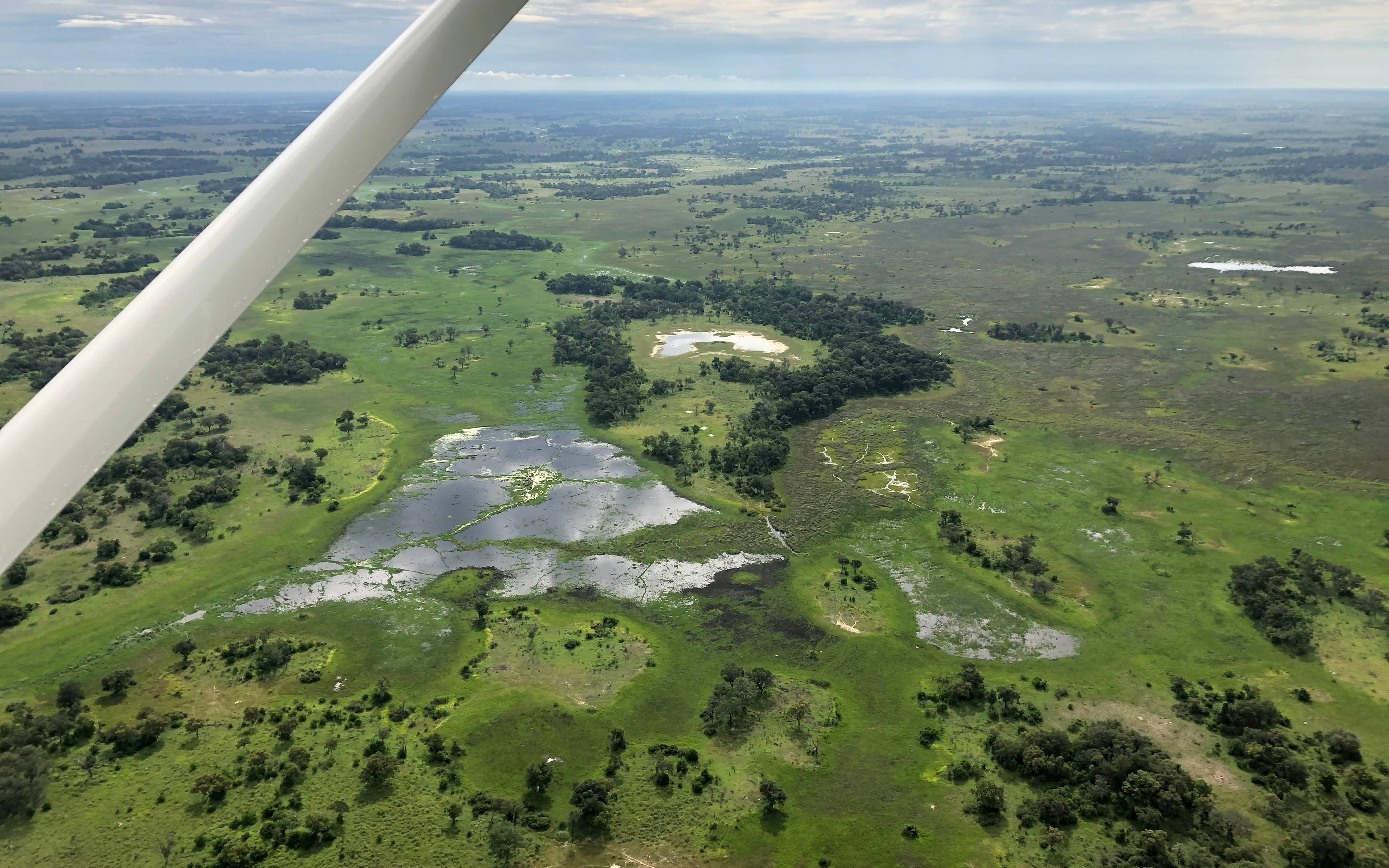 De Maun al delta del Okavango