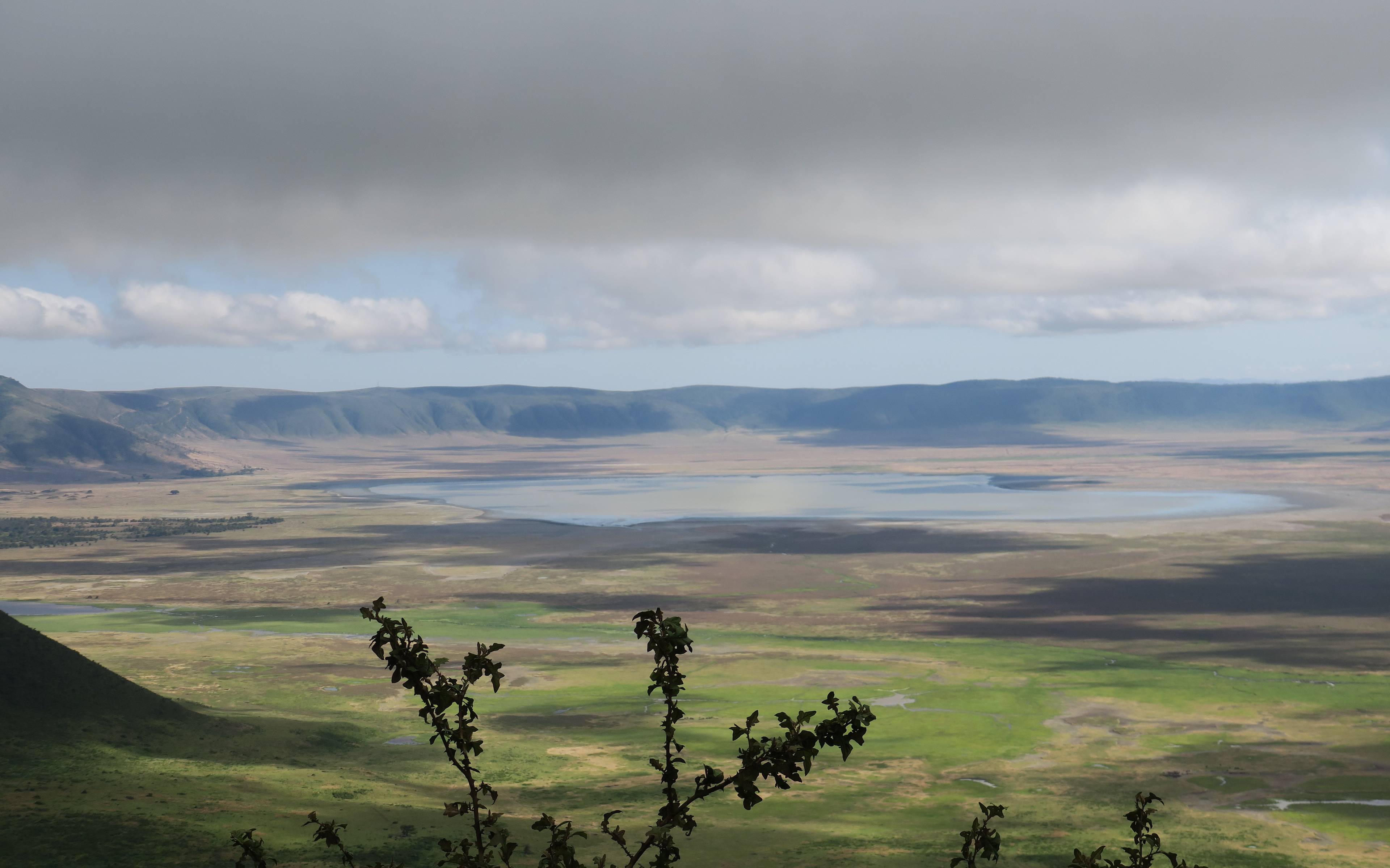 Daal af naar de kratervloer van de Ngorongoro