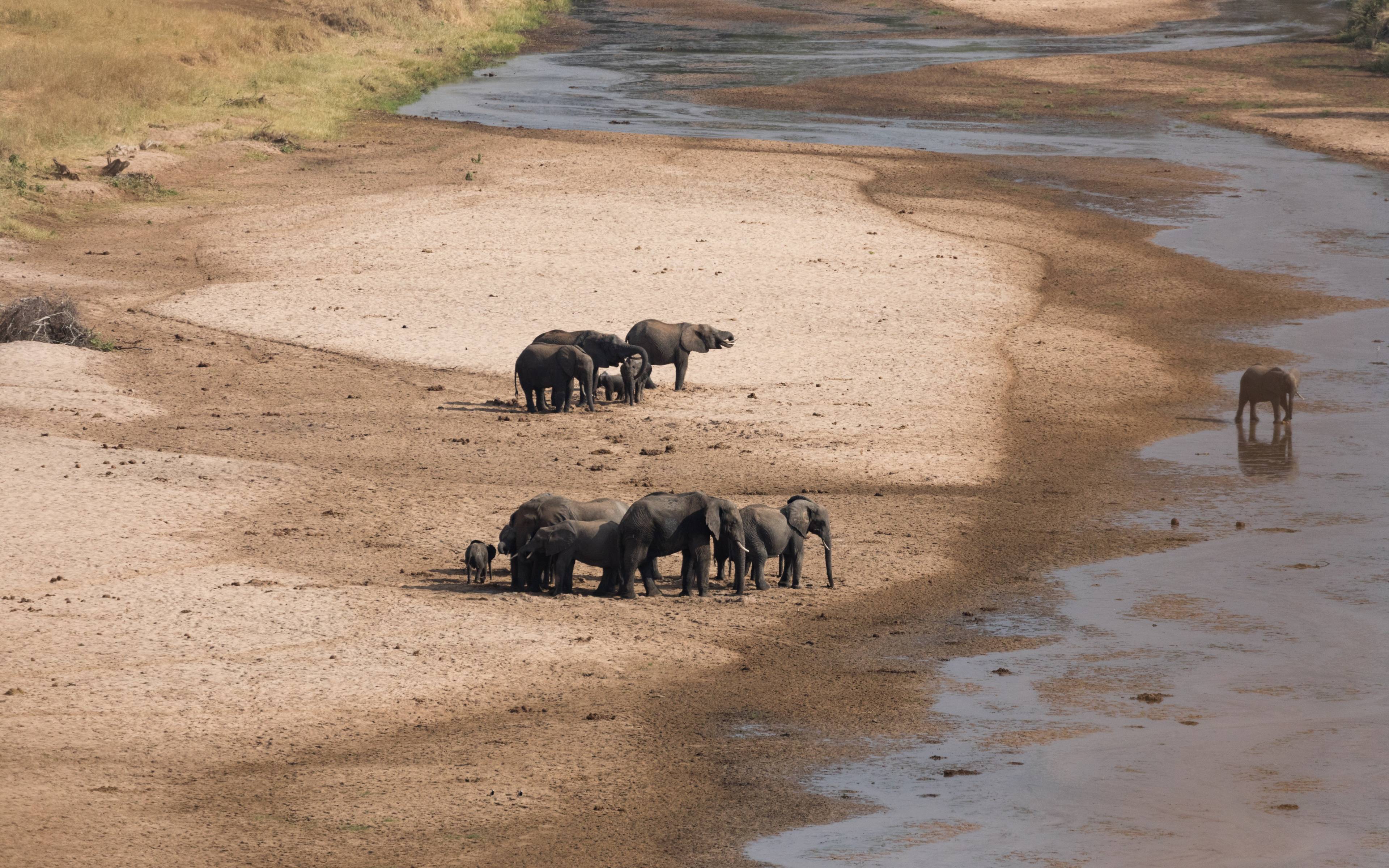 Safari dans le Parc National d’Arusha en route vers le Tarangire