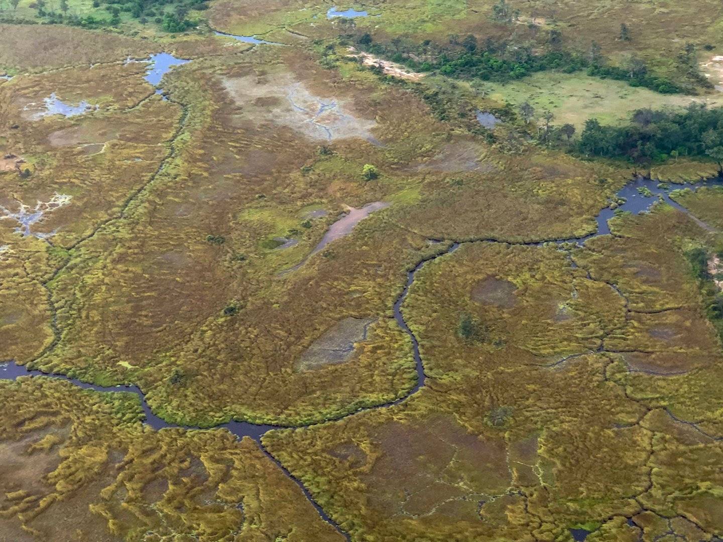 De Maun al Delta del Okavango