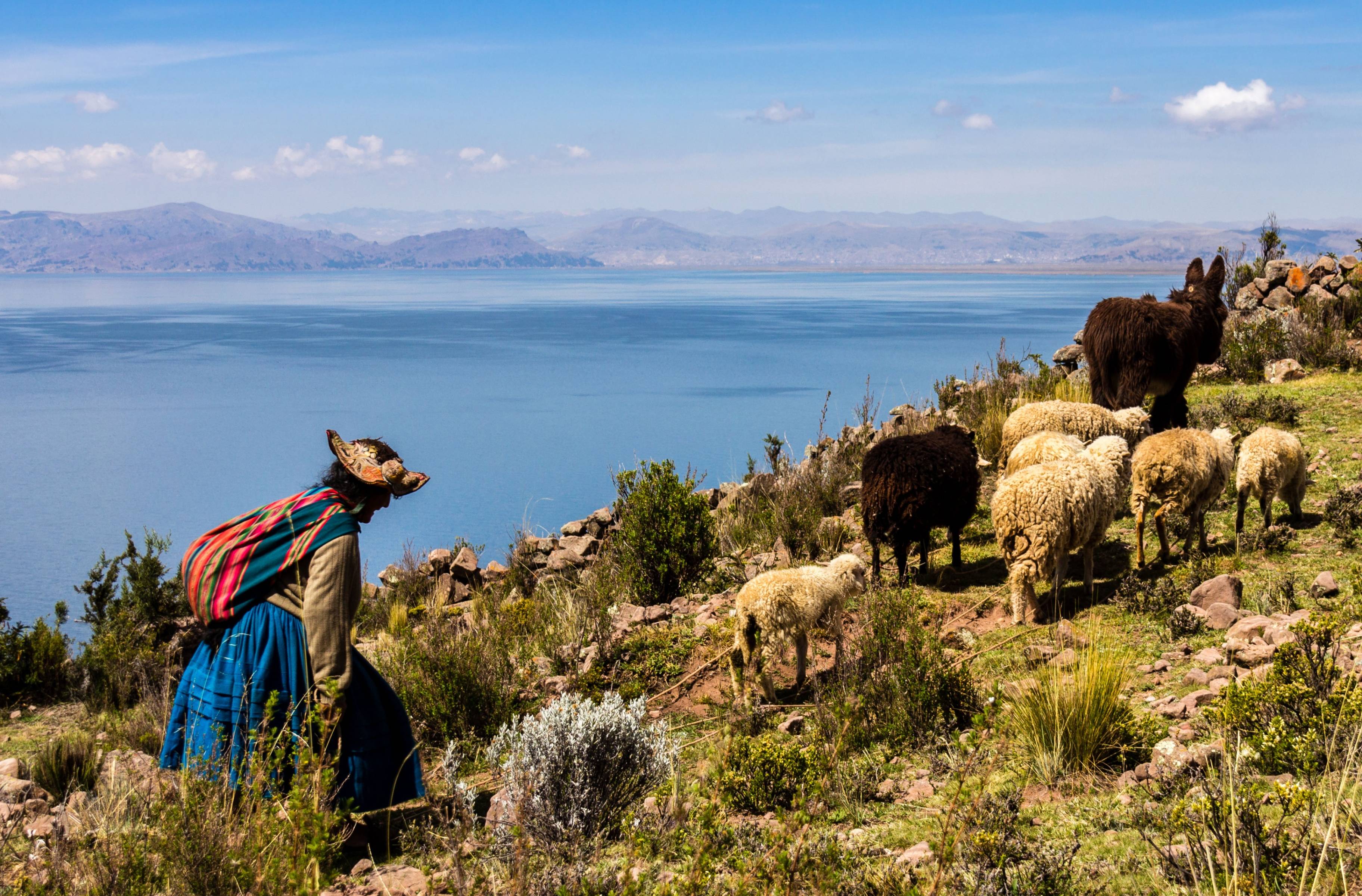 Navigation sur le Lac Titicaca