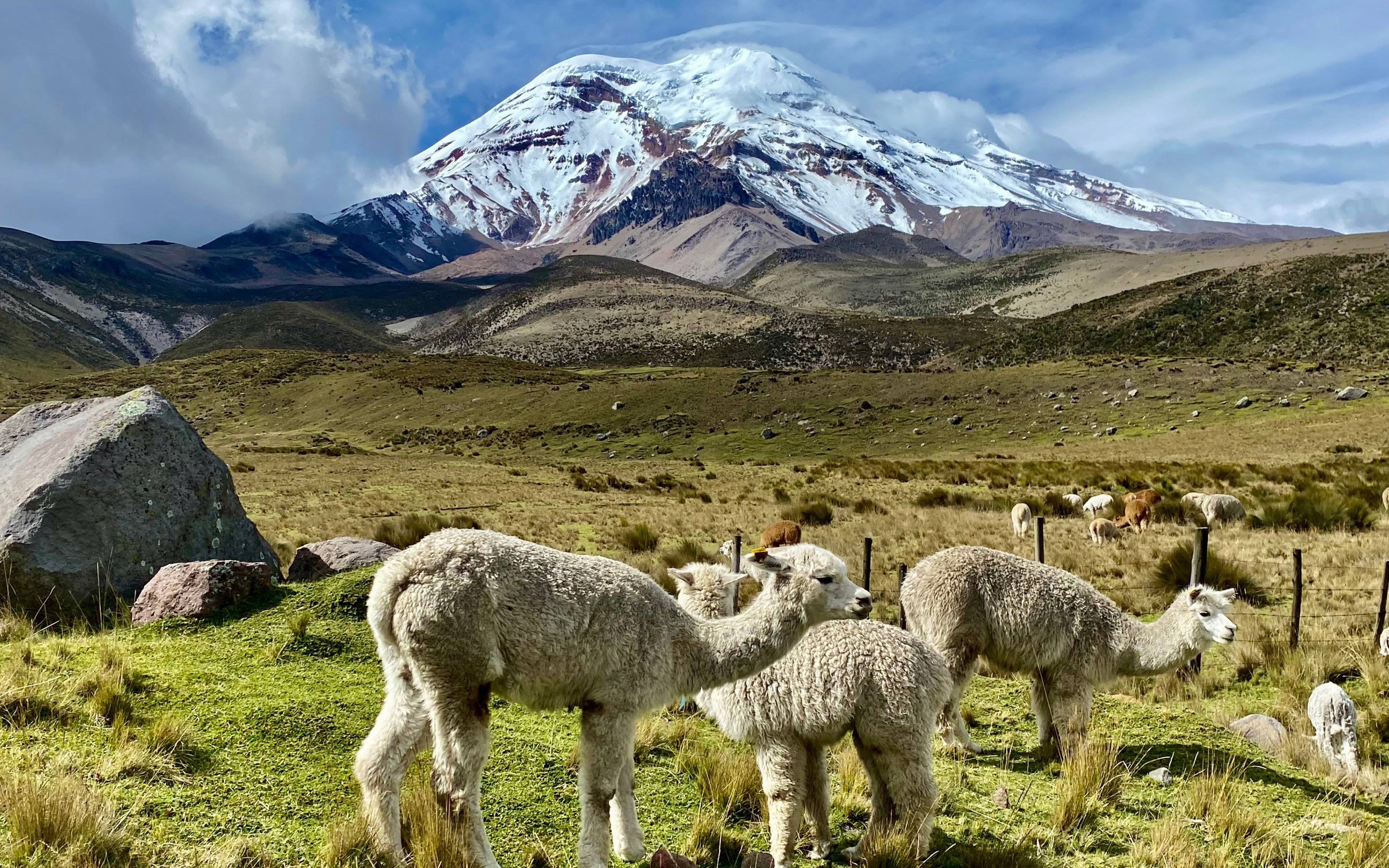 Die Erkundung des Chimborazo, einst der höchste Berg der Welt 