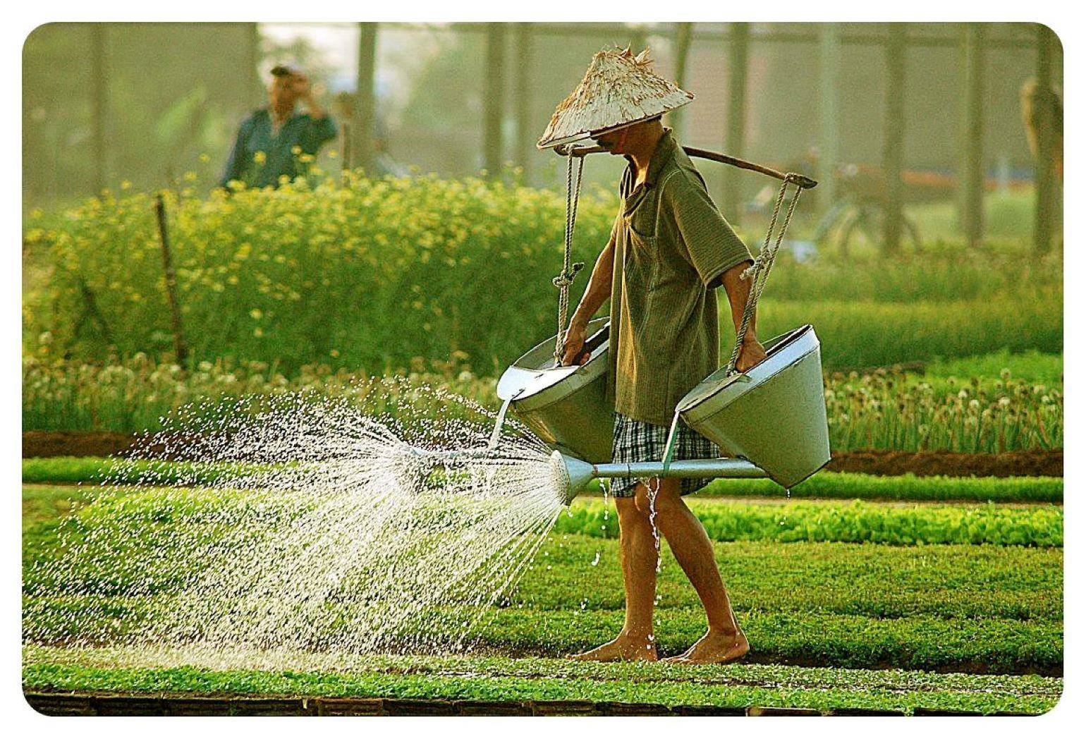 Ein Tag im Leben eines vietnamesischen Bauerns