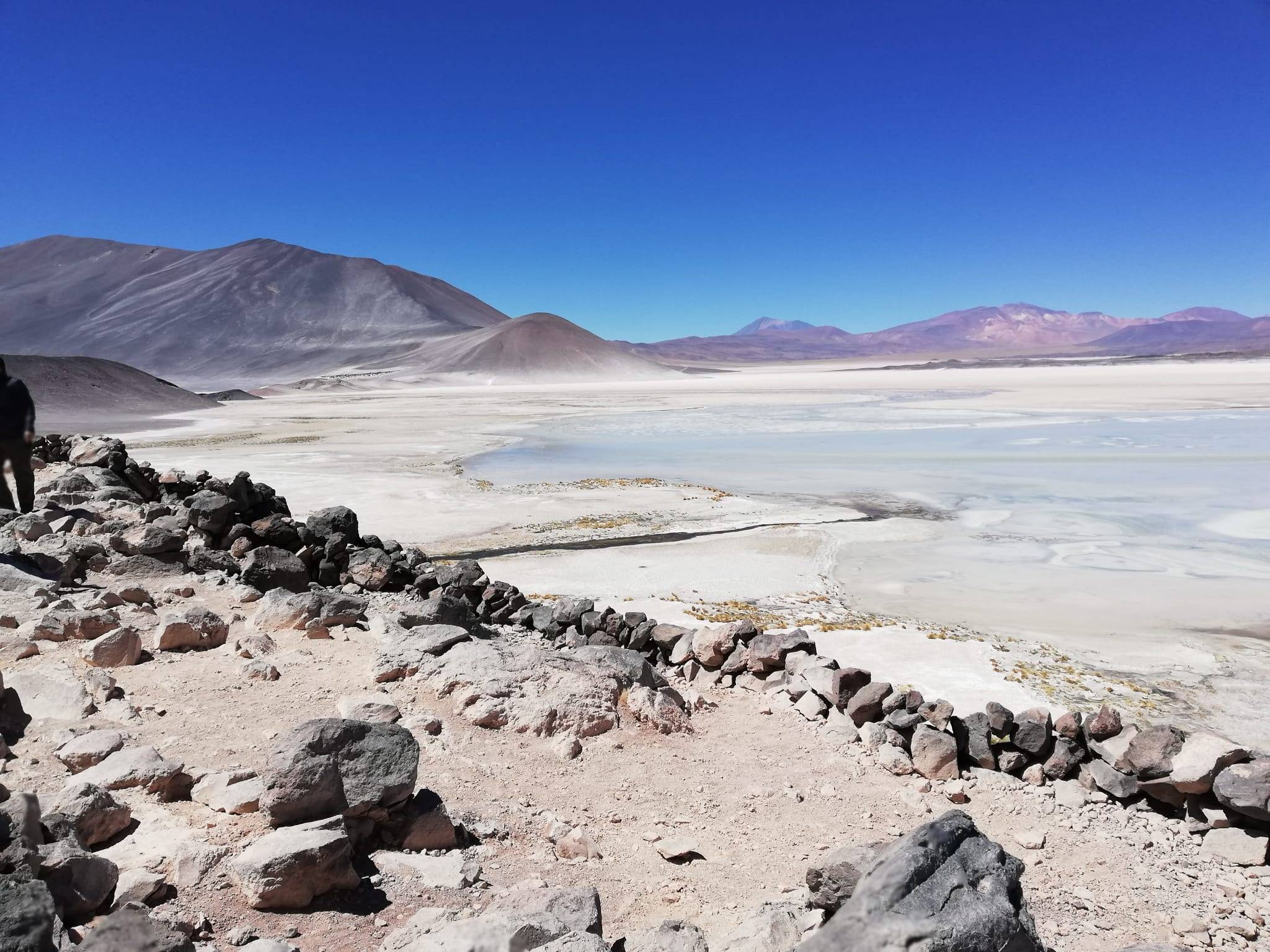 Il Salar de Atacama, lagune altiplaniche e pietre rosse