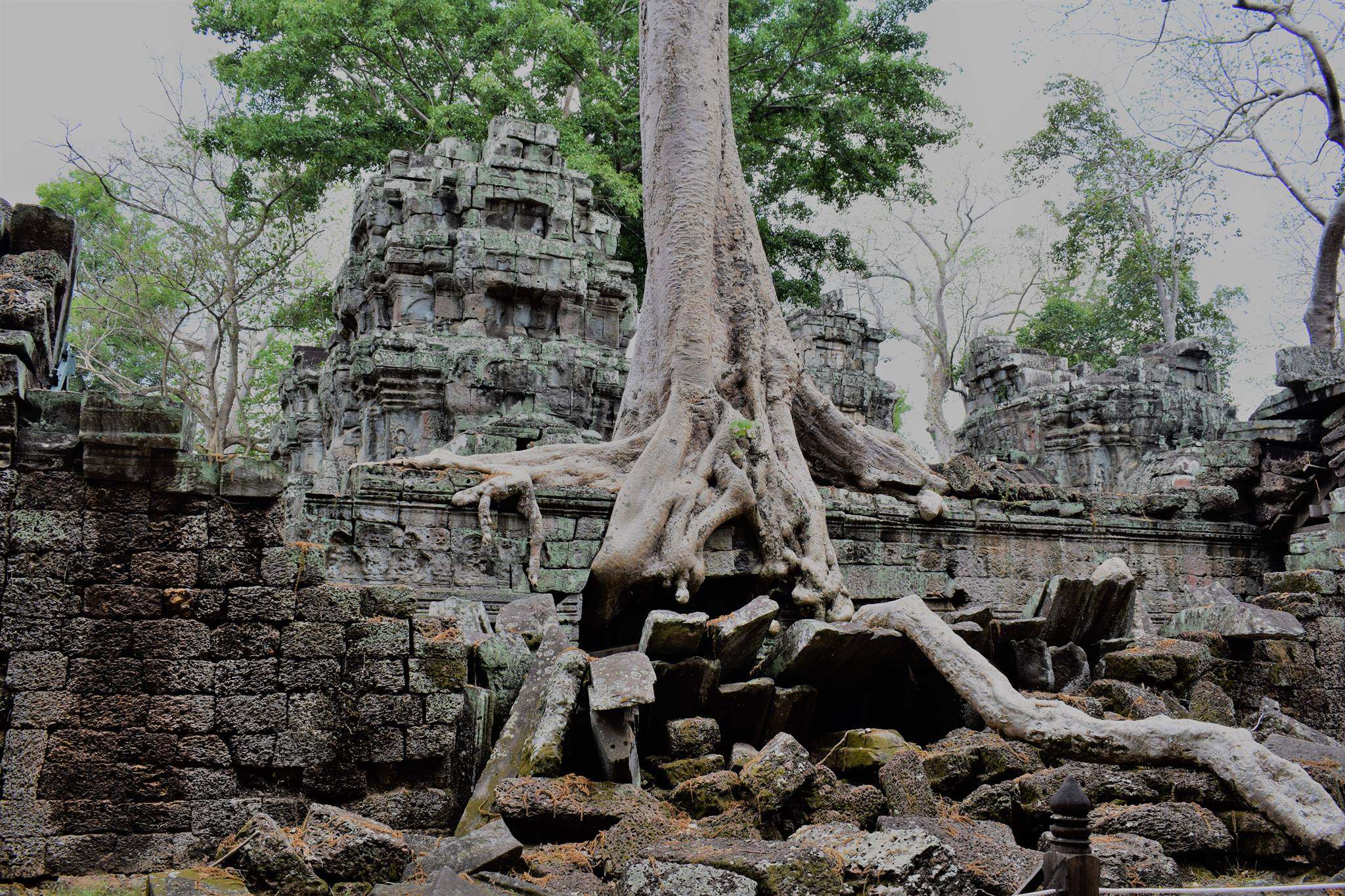 Les temples à Siem Reap