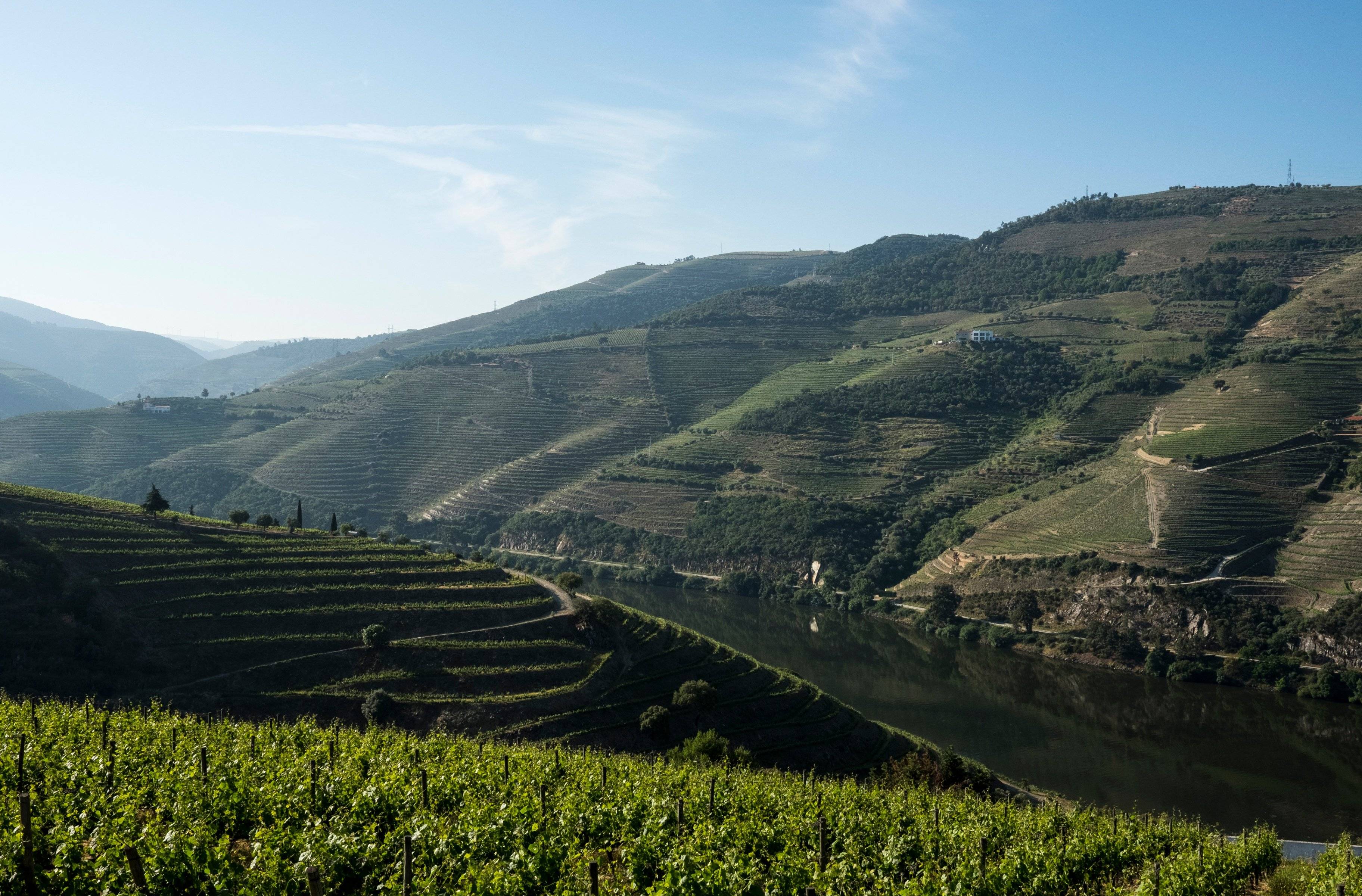 Das Douro-Tal und seine endlosen Weingüter 