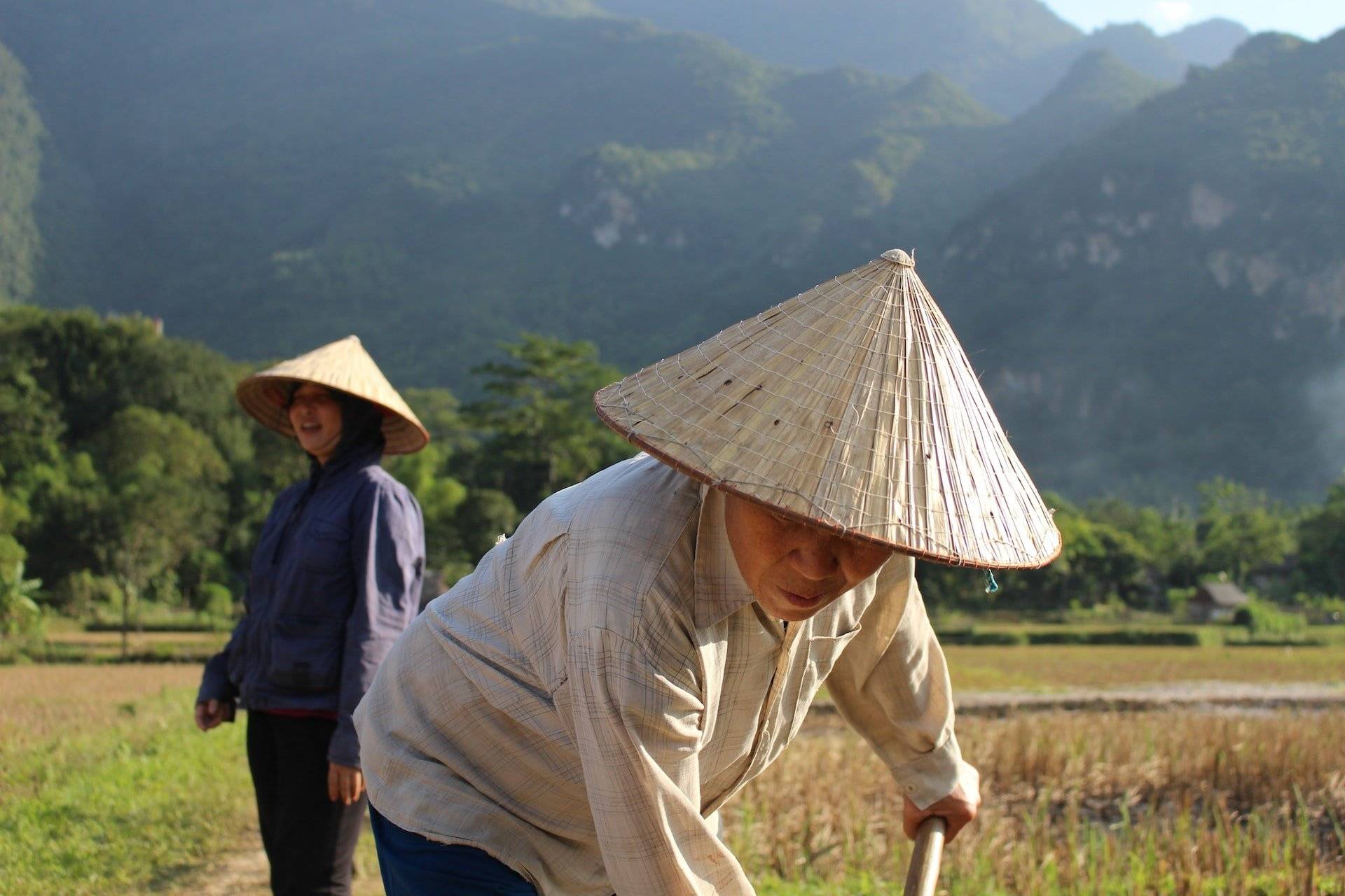 Villages ethniques de la région de Hoa Binh