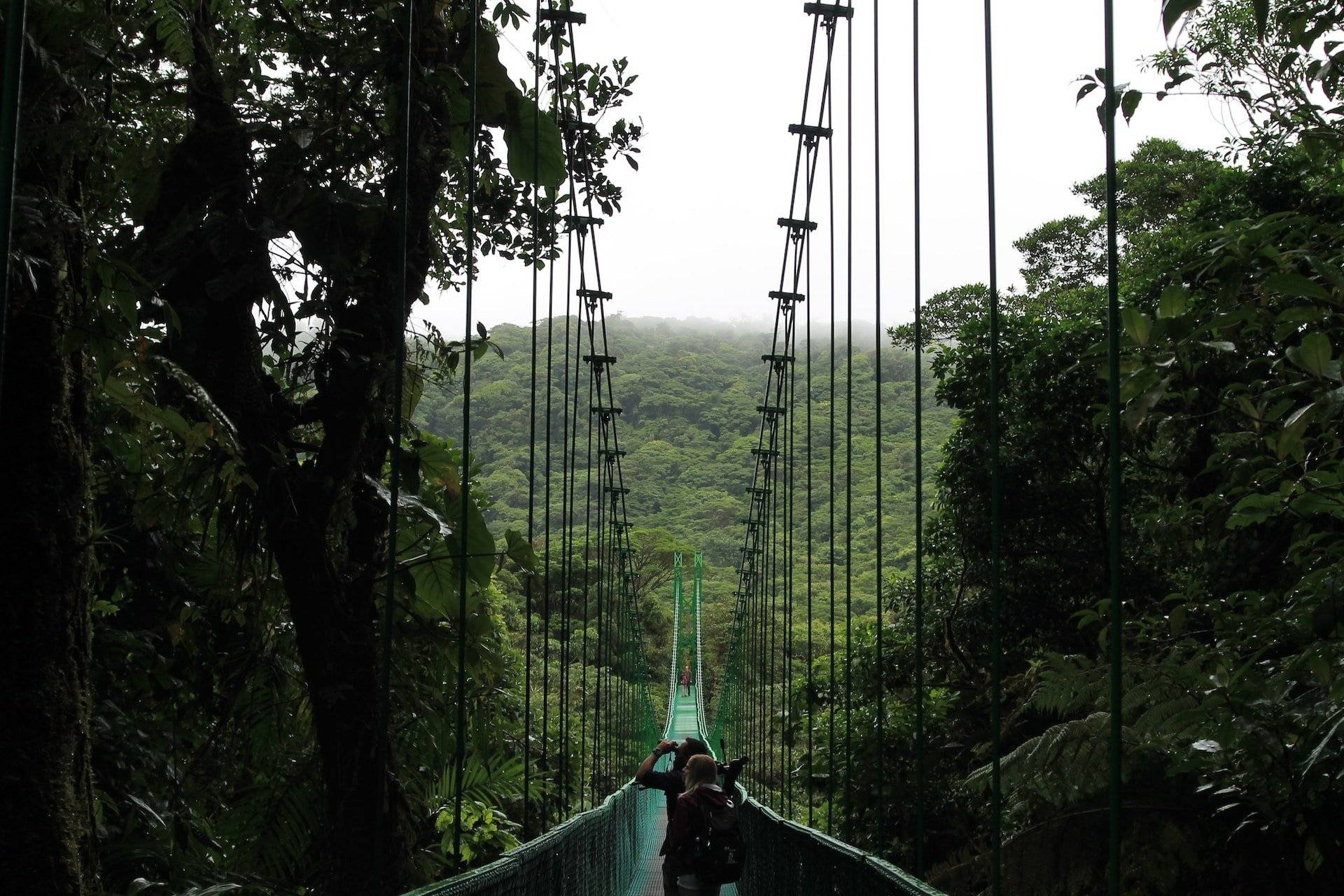 Zip Line e ponti sospesi sopra la foresta