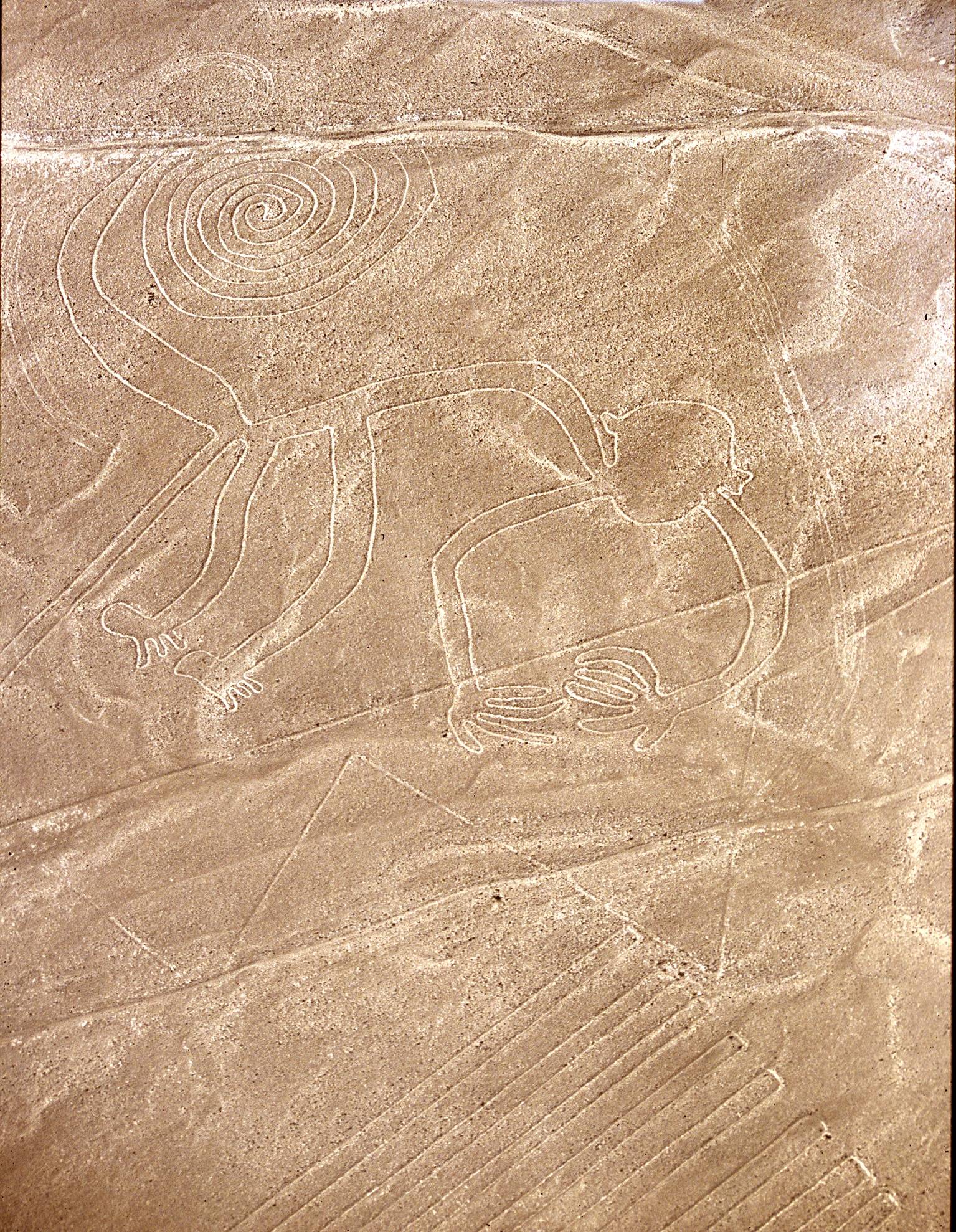 Descubra las impresionantes líneas de Nazca