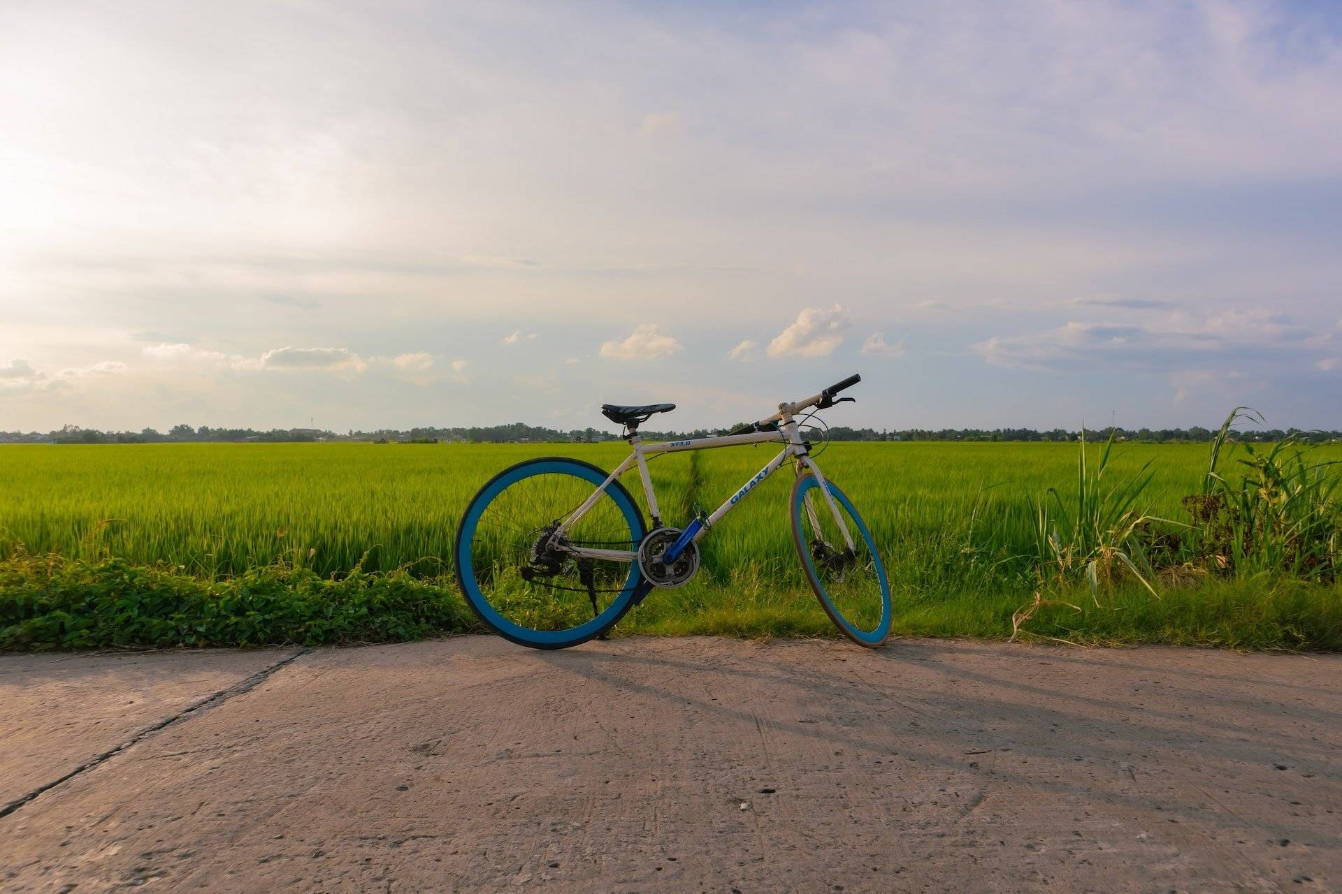Balade à vélo au milieu des rizières