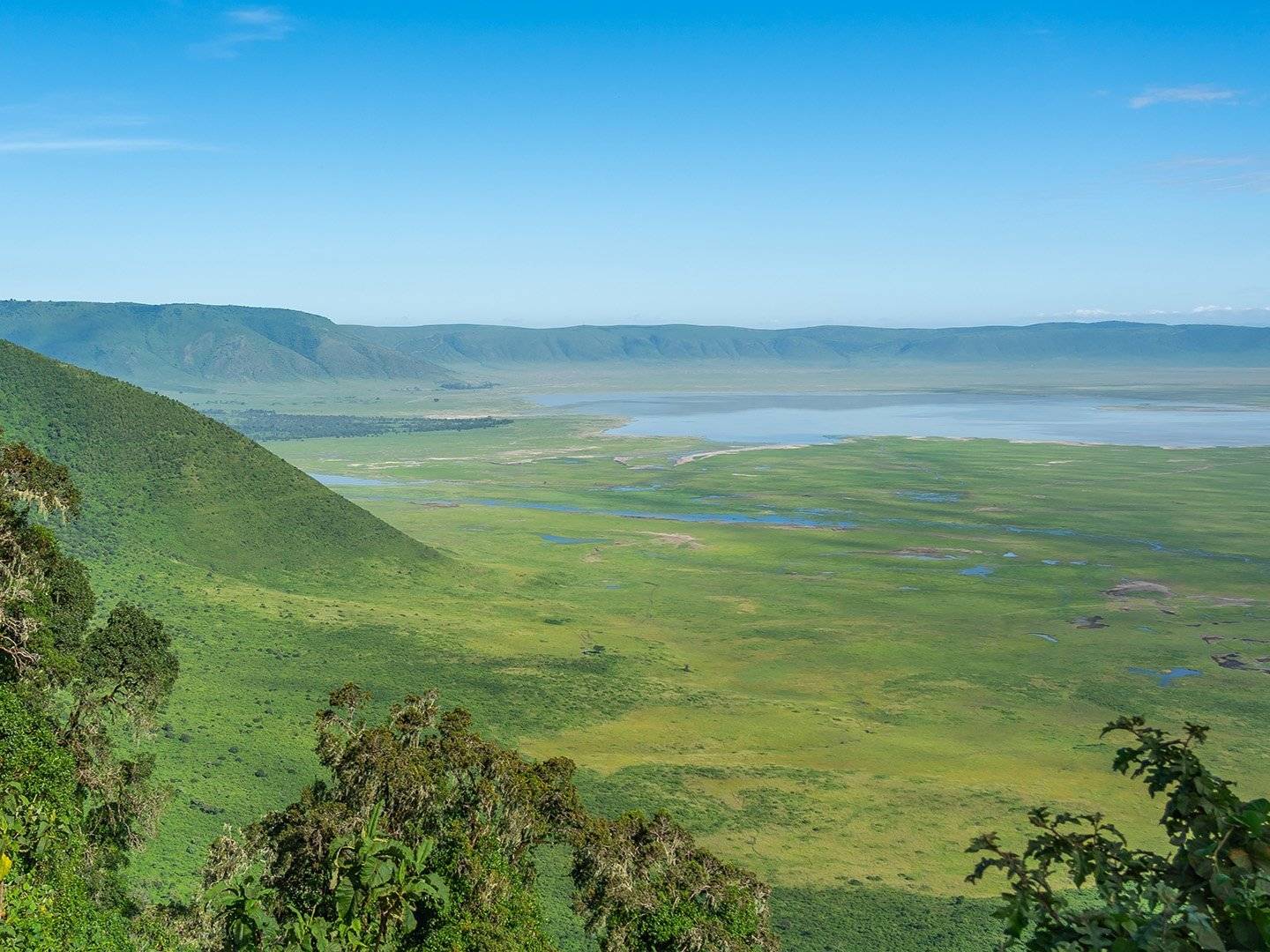 Die reiche Tierwelt des Ngorongoro Kraters  