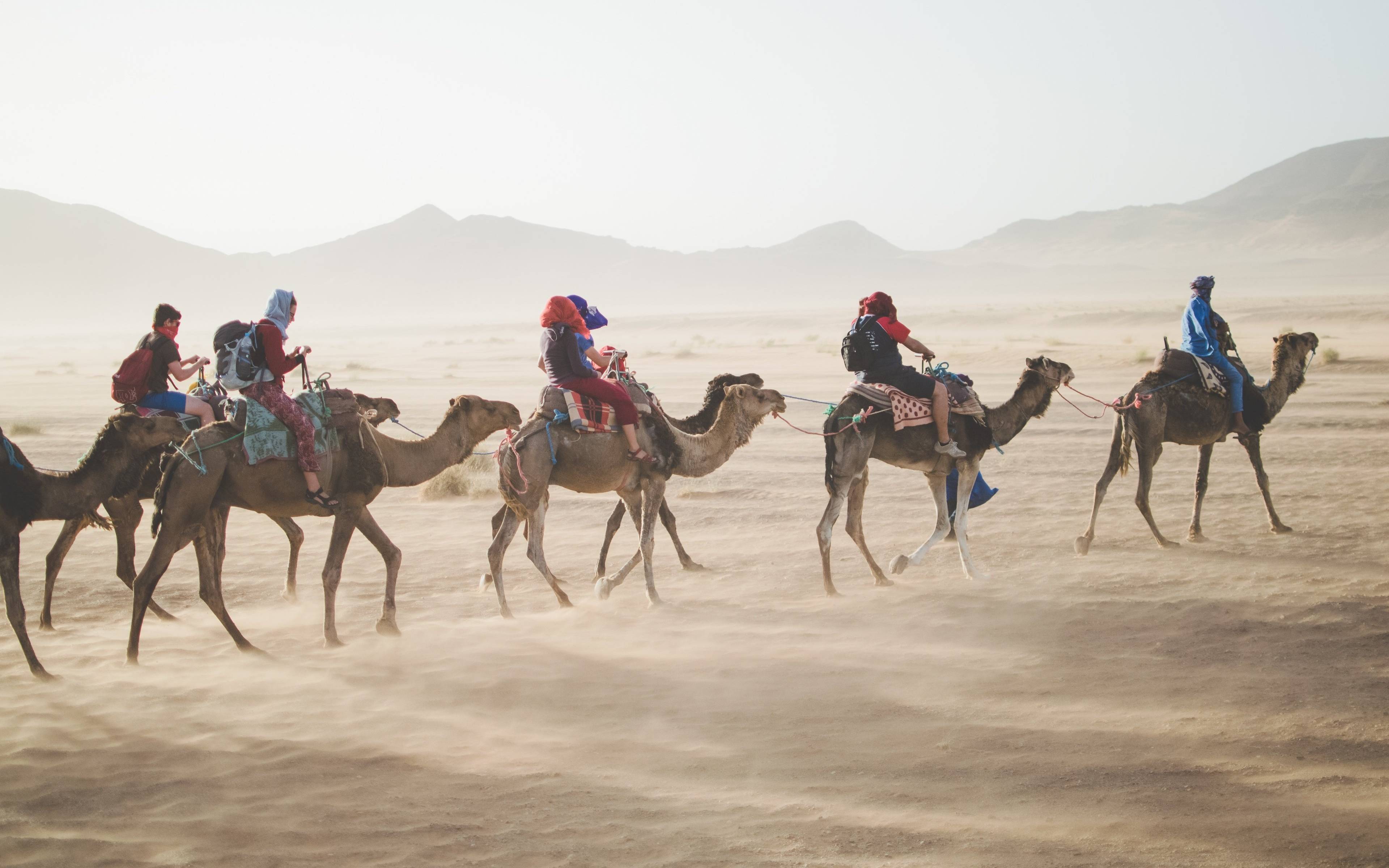 Méharées nel deserto, Raz Nakhal e le dune di Douib