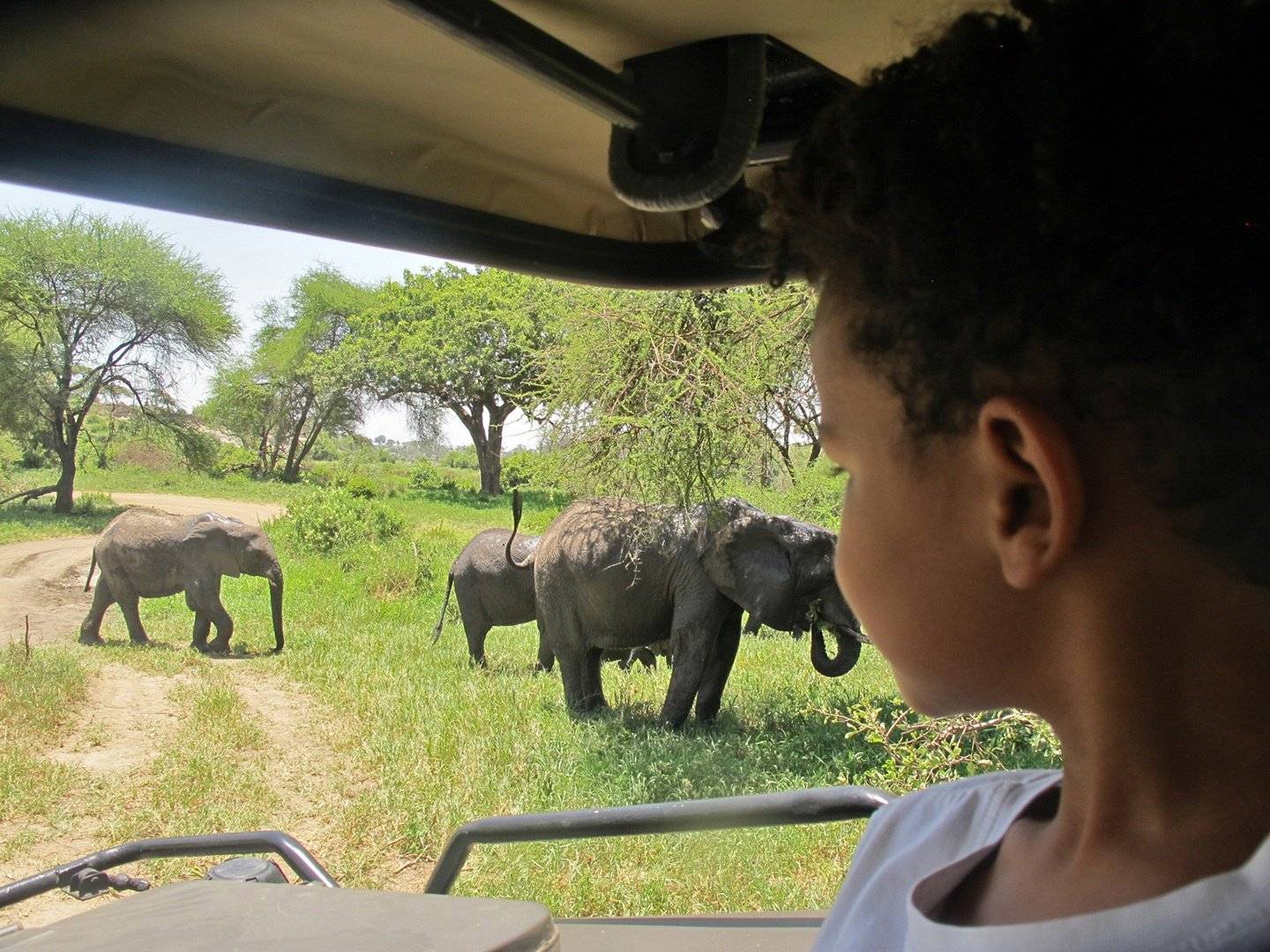Primera experiencia de safari en Tarangire National Park