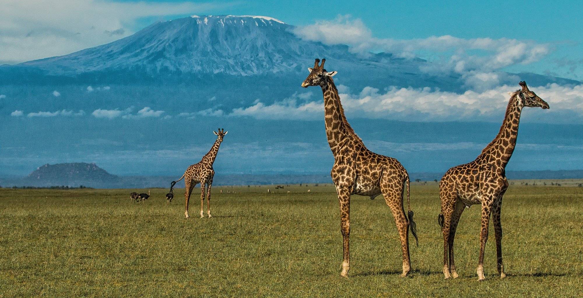 Il Parco Nazionale di Amboseli e il maestoso Kilimanjaro