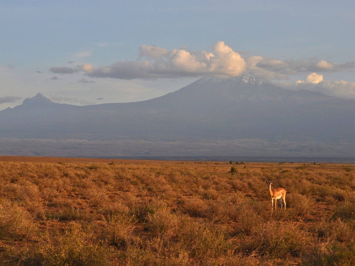 Alle falde del Kilimanjaro: il parco dell'Amboseli