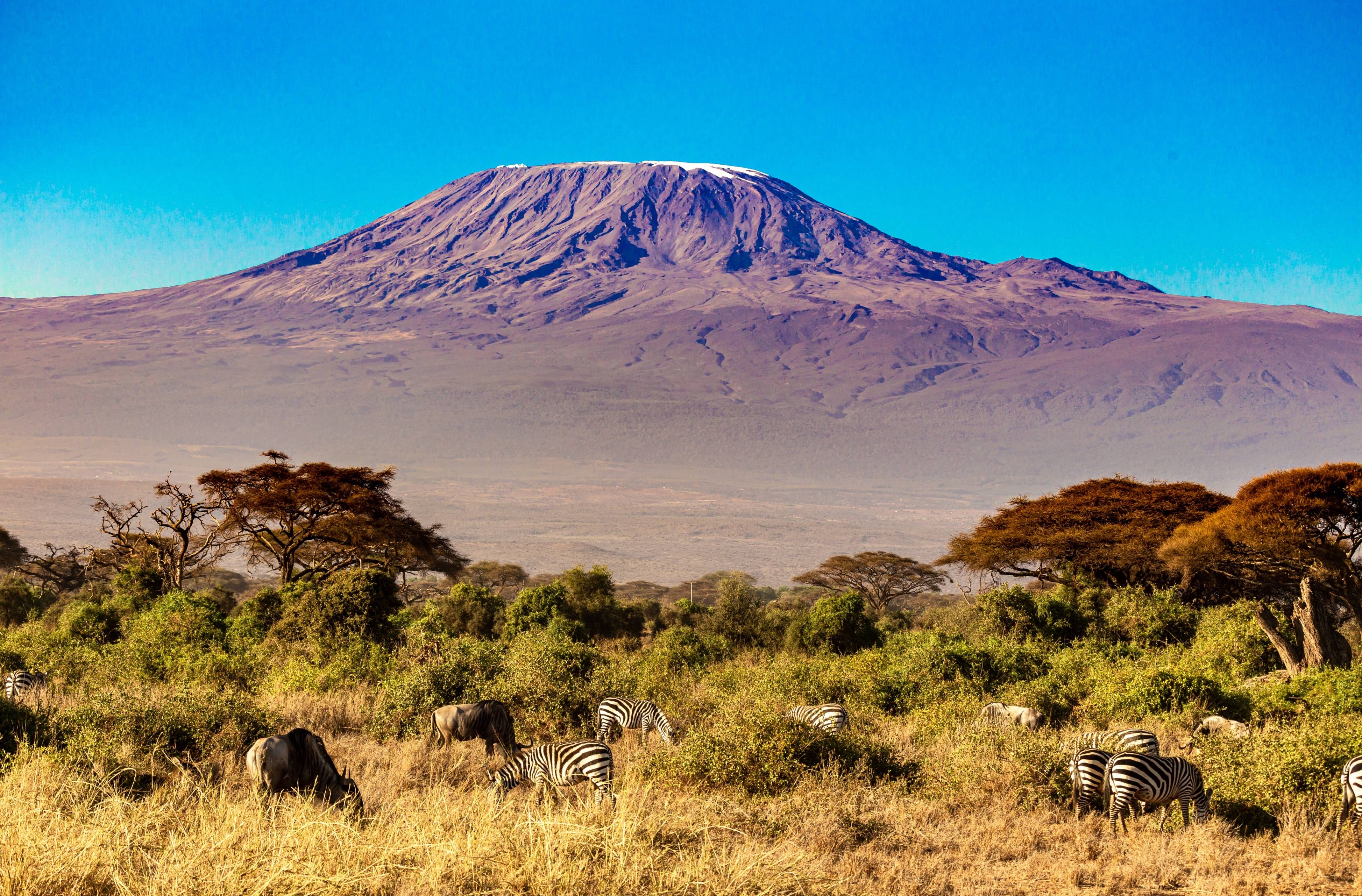 A la tierra de la fauna salvaje, las aves raras y las impresionantes vistas del monte Kilimanjaro