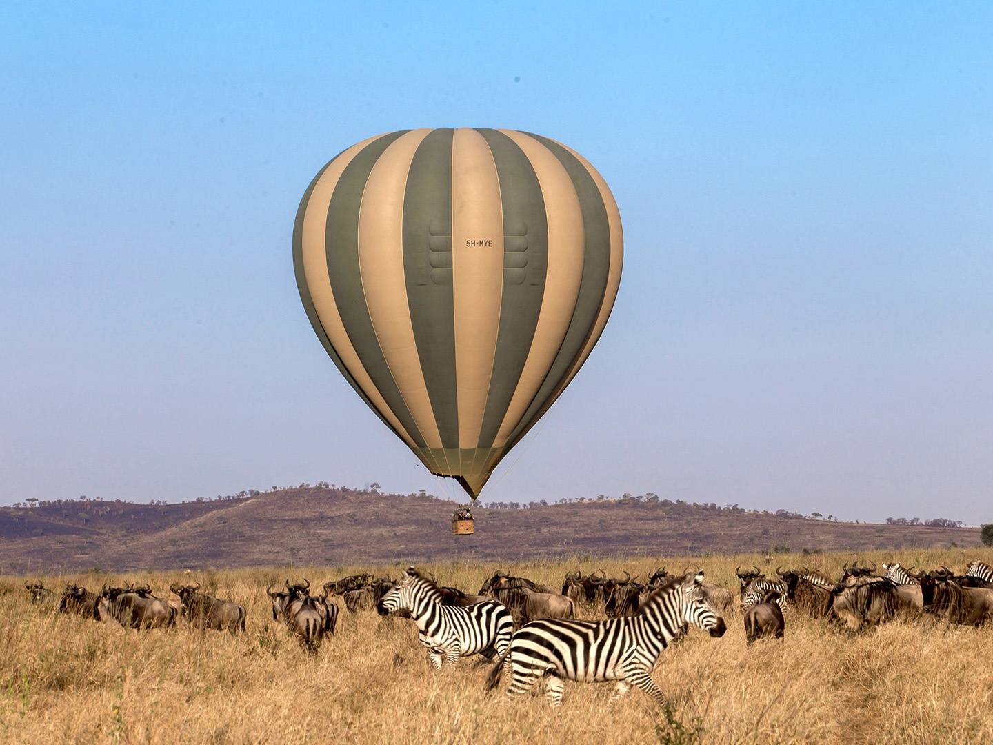 Explorando el Parque Nacional del Serengeti