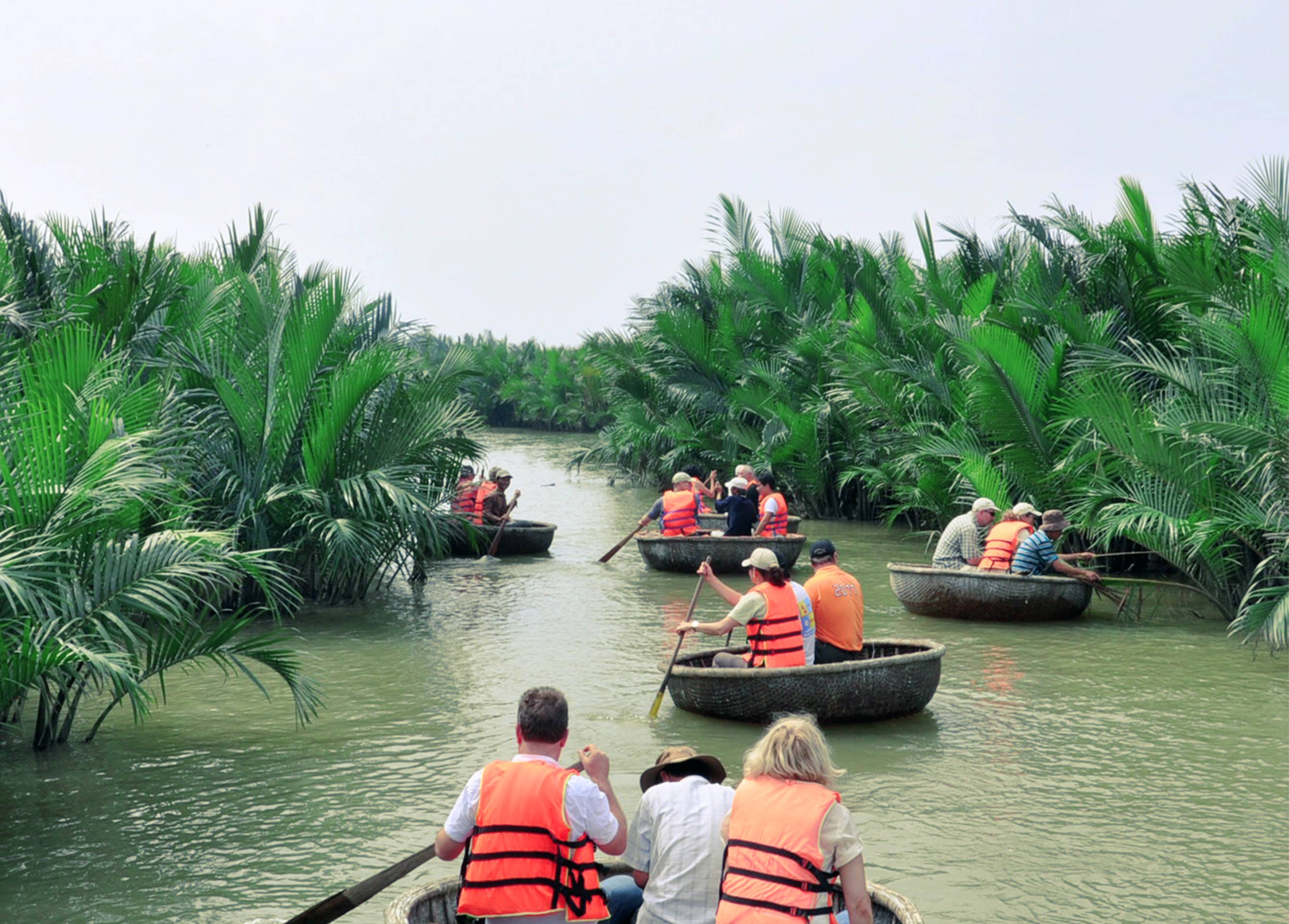Immersion dans la forêt des cocotiers d'eau Bay Mau