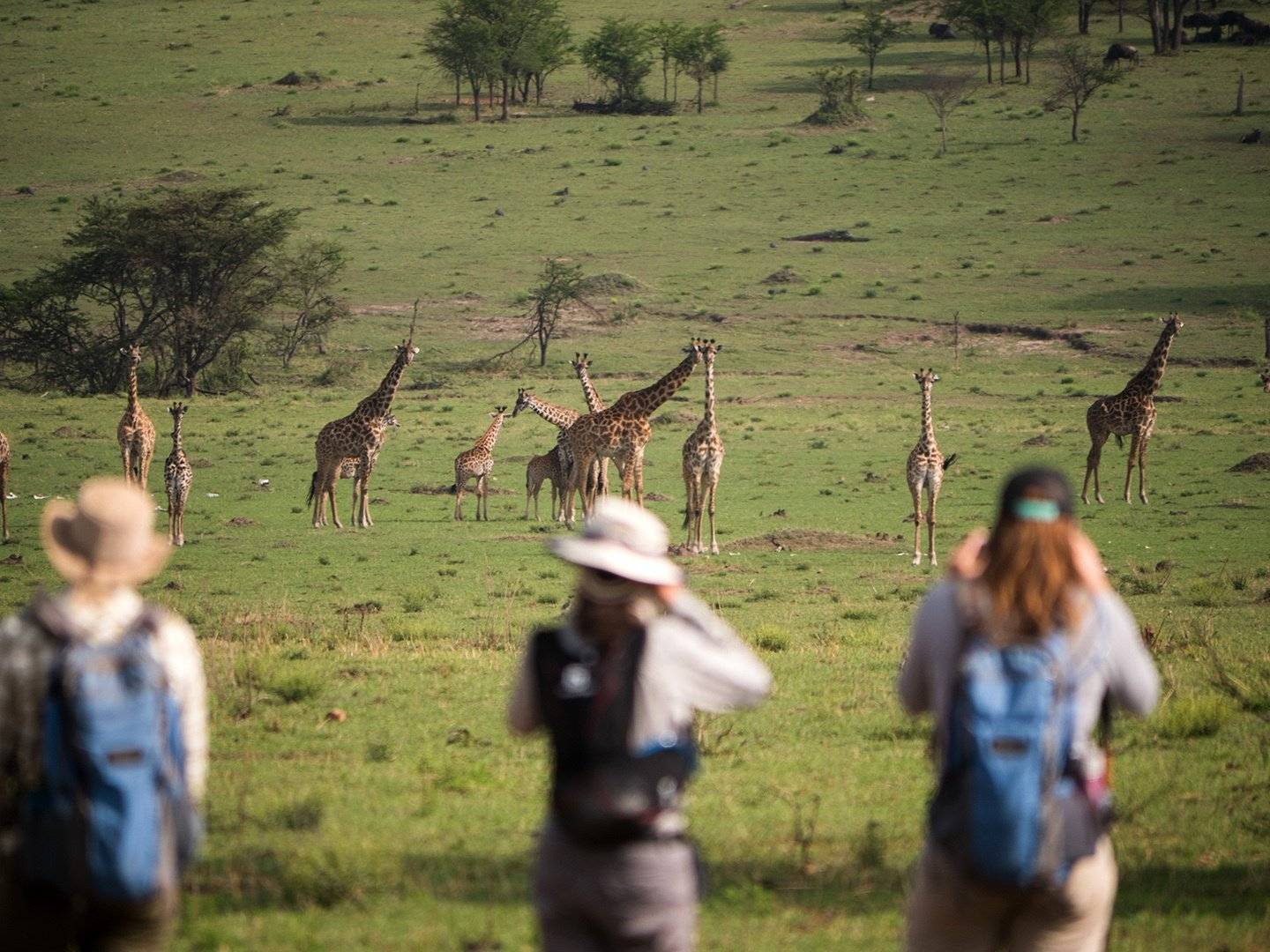Safari a pie y Parque Nacional Selous