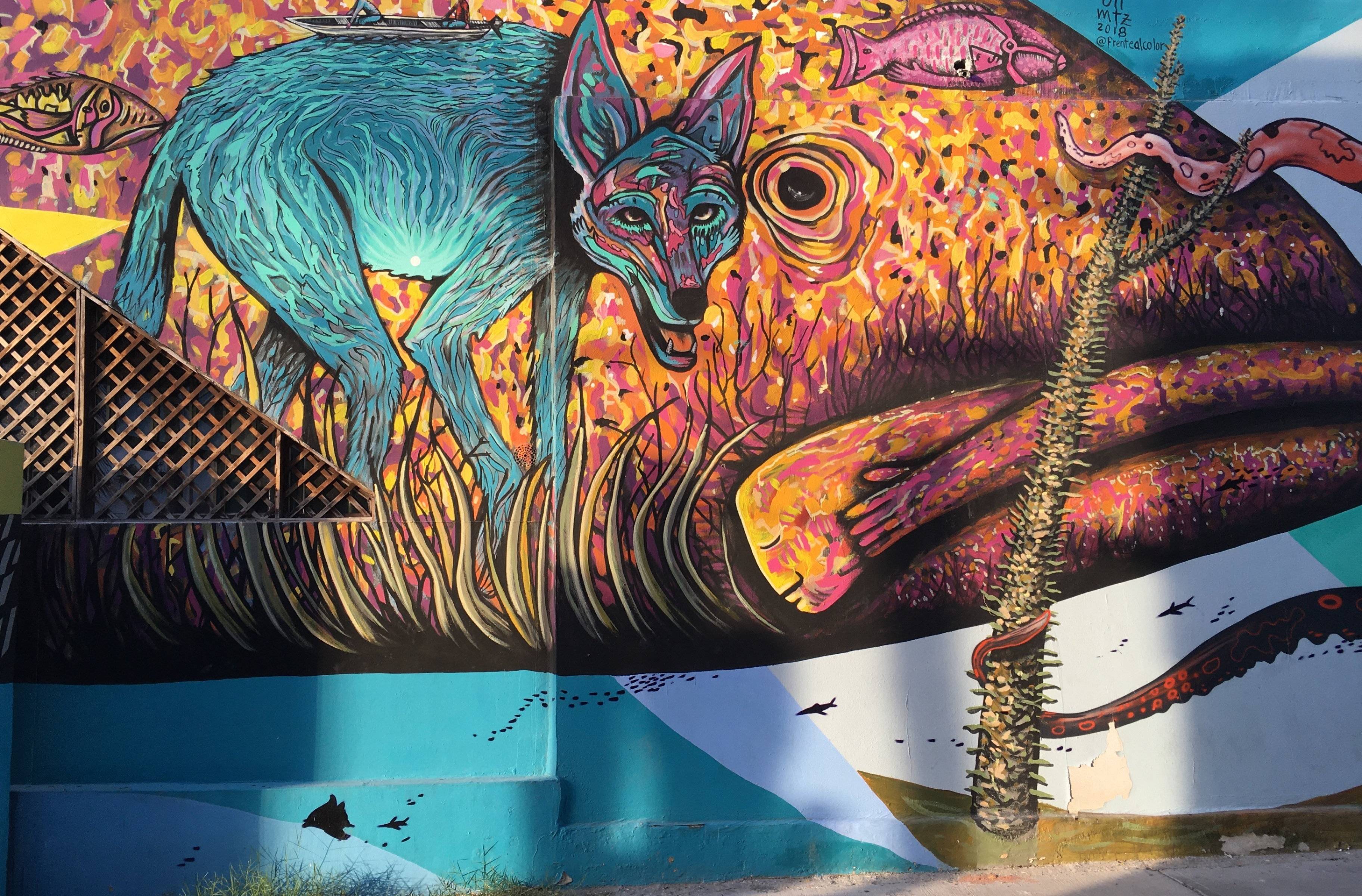 Découverte de la Paz : Street art et coucher de soleil