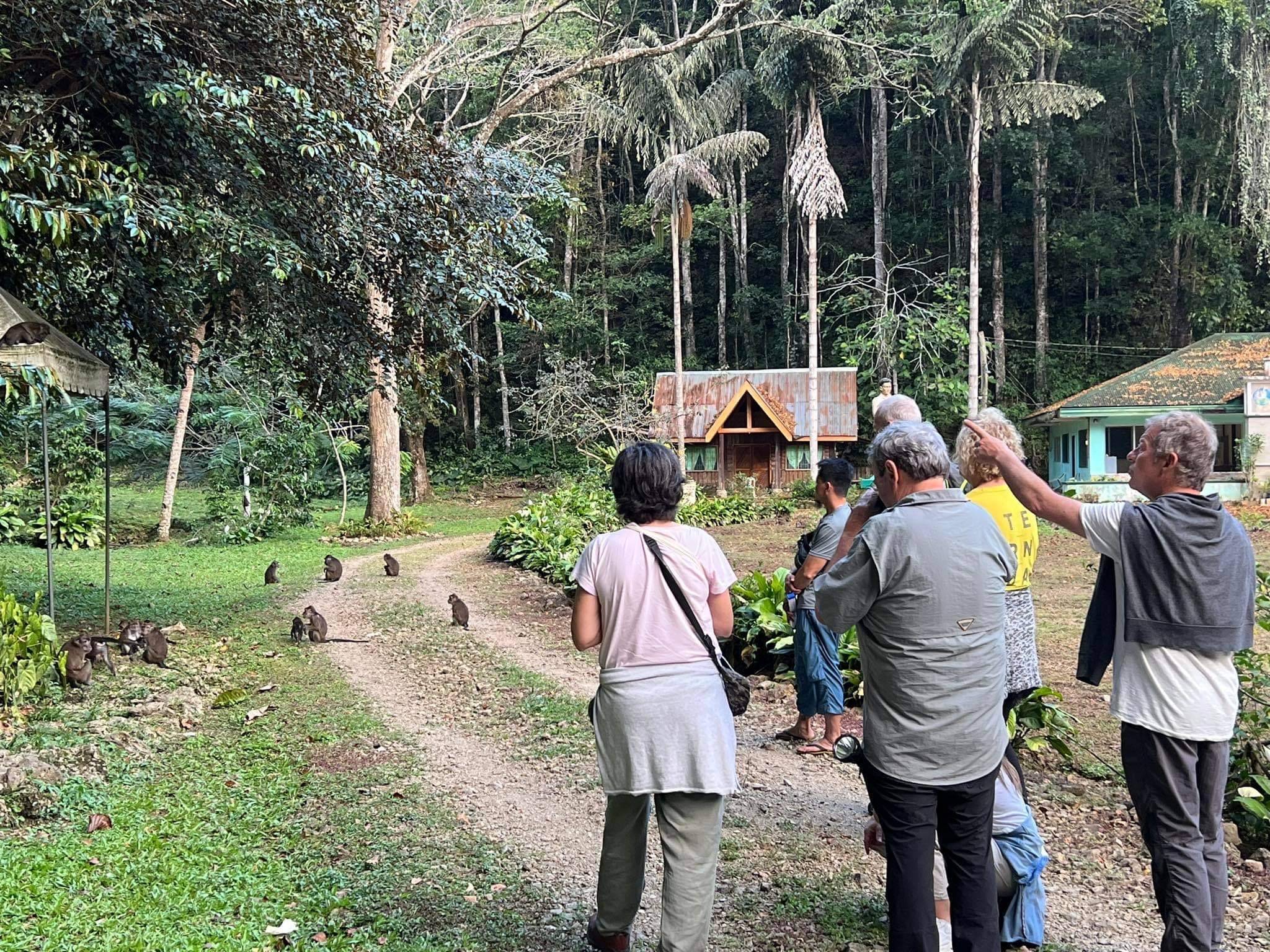 Visita por la isla de Bohol y parque natural de Rajah Sikatuna