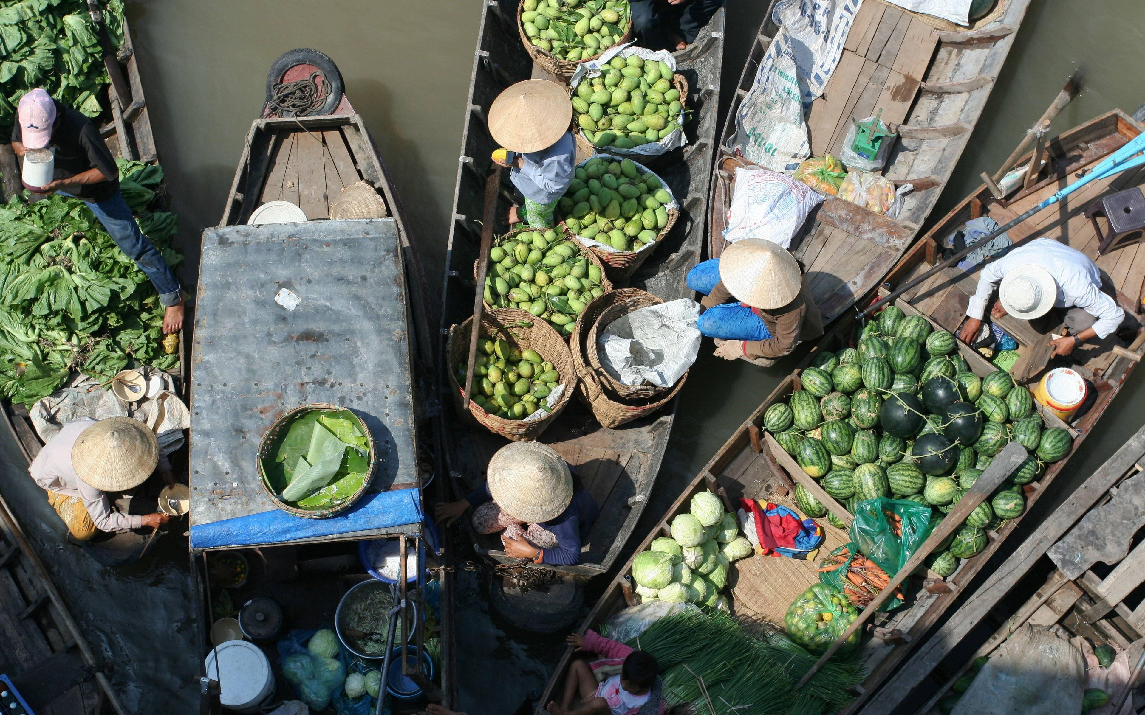 Navigation sur le marché flottant de Cai Rang