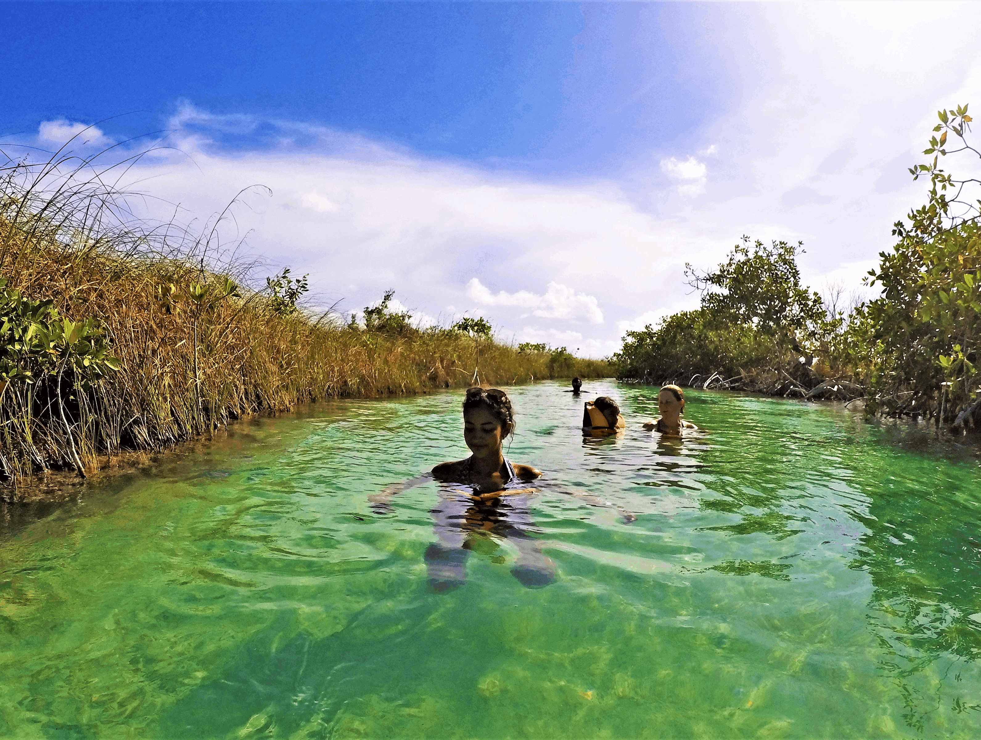 Votre immersion entre mangroves et lagunes