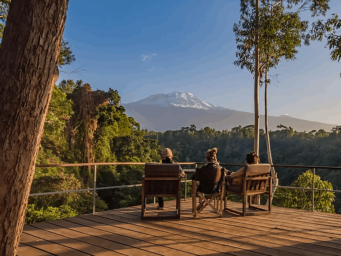 Monte Kilimanjaro, caminata por la naturaleza y salida