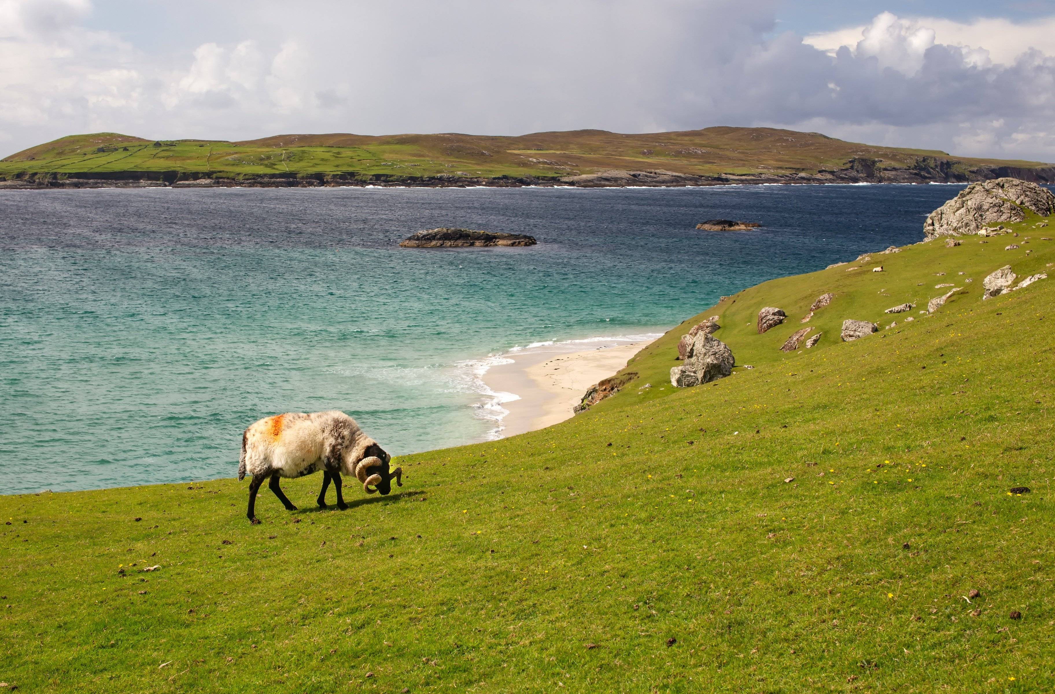 Île d'Inishbofin : un air de caraïbes !