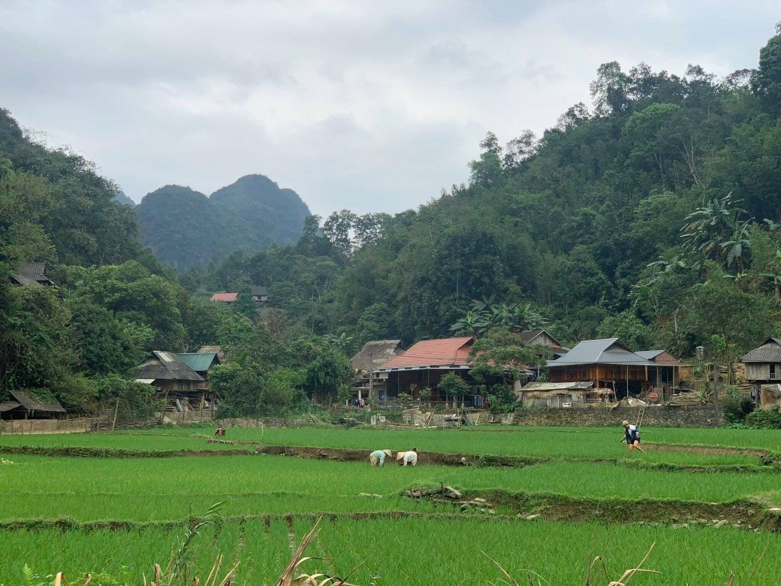 Verso l'affascinante villaggio isolato di Kho Muong