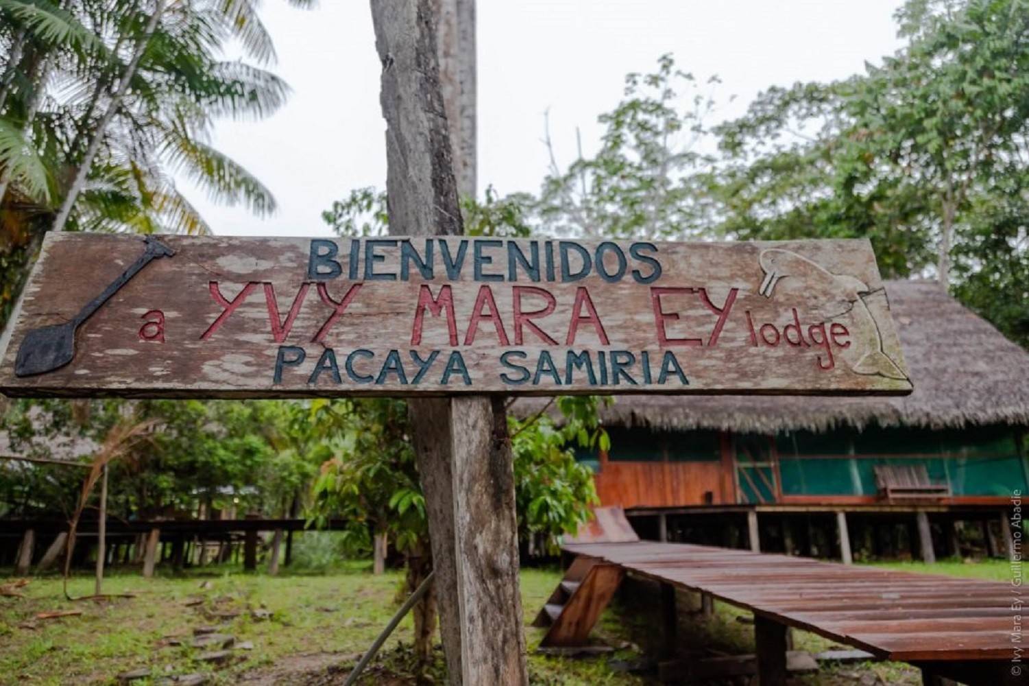 Iquitos - Ivy Mara Ey - Reserva Nacional Pacaya Samiria