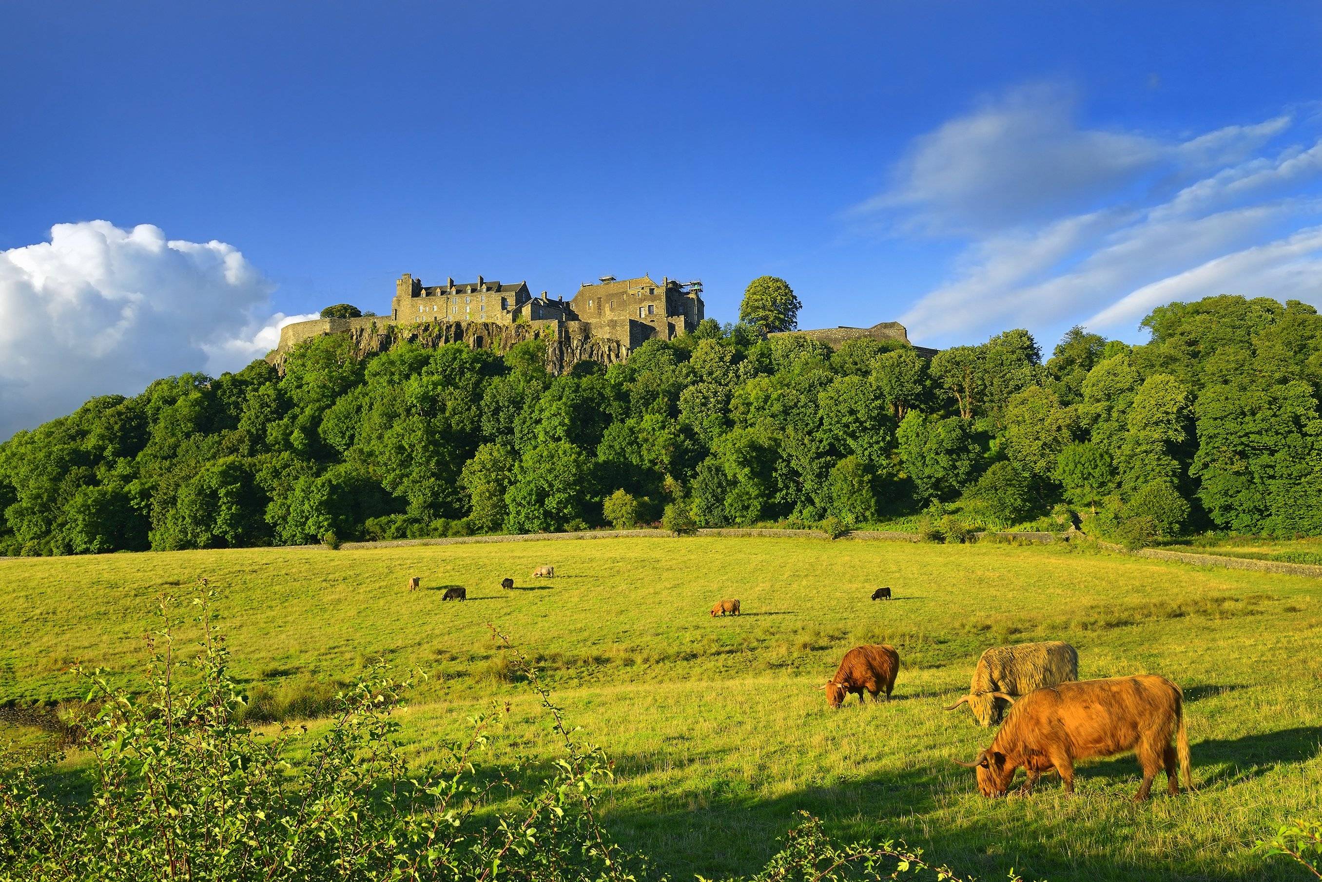 Edimburgo - Castillo de Stirling - Parque Nacional de Loch Lomond y Los Trossachs - Glencoe - Fort William