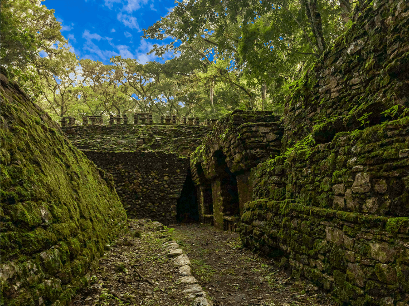 Immersion dans la jungle Lacanjá et visite du site archéologique de Yaxchilán
