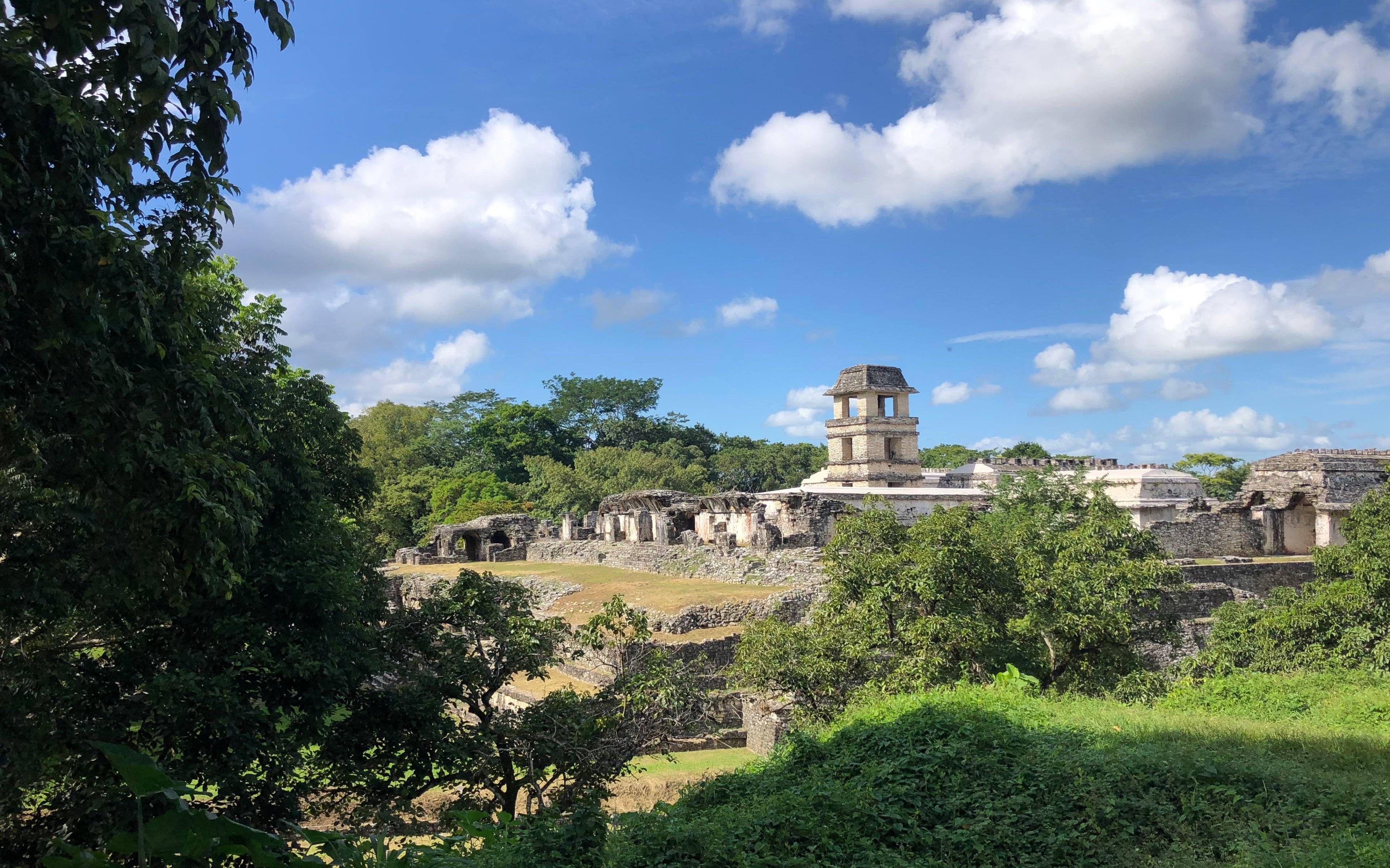 Découverte de la grande cité maya de Palenque